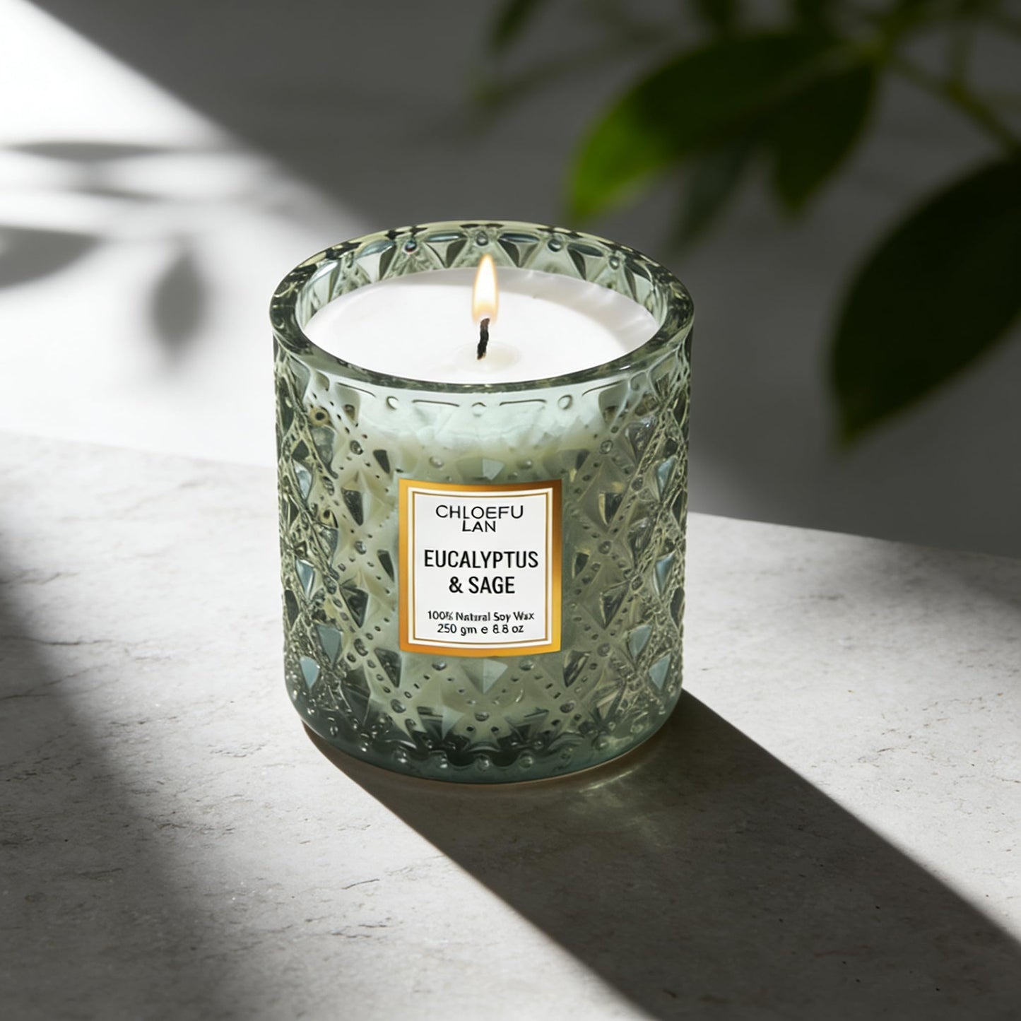 Chloefu LAN Eucalyptus & Sage Scented Candles Luxury Candle with up to 55 Hour Long Lasting, Highly Scented, 100% Soy Wax, 8.1oz, Beautiful Candles, Ideal for Home Decor and Gifts