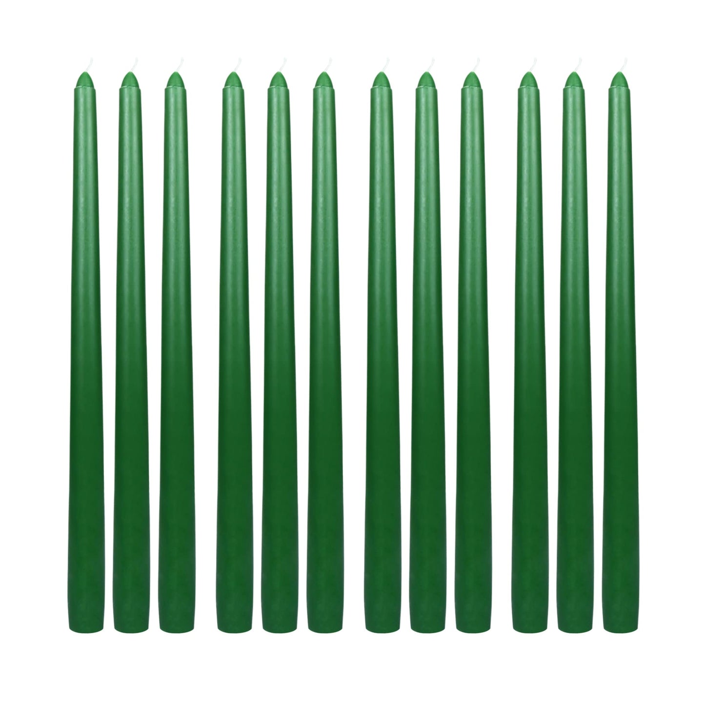 Zest Candle 12-Piece Taper Candles, 12-Inch, Hunter Green