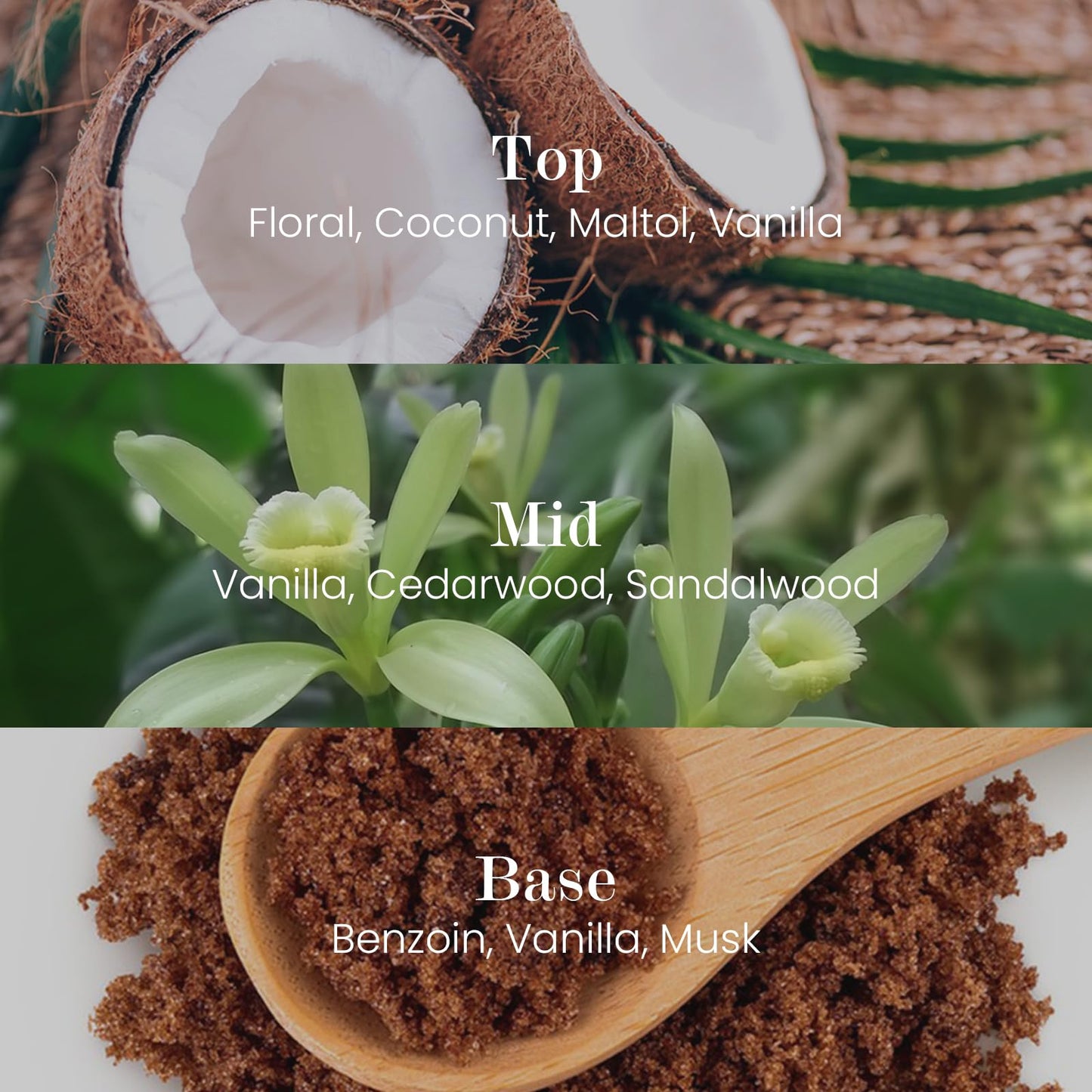 M&SENSE Natural Soy Candle| Vanilla Sandalwood | 5.3 oz | Mini Spring Scented Candles for Relaxation,Meditation, Home Décor | for Bedroom, Office, Party Small