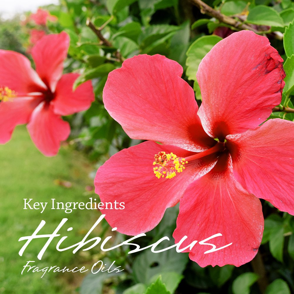 I & Candle Aromatherapy Soy Wax Scented Candles (Hibiscus & Citrus)