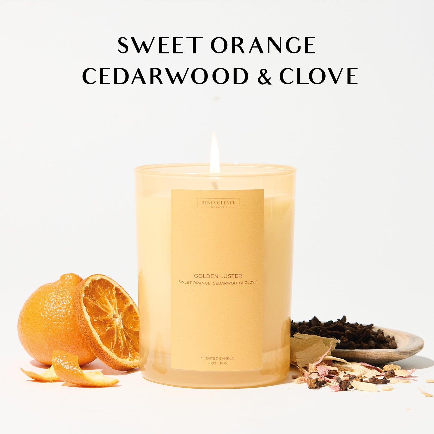 Orange, Cedarwood & Clove Scented Candle | 11oz, 60 Hour Burn | Natural Soy Wax, Cotton Wick | Soy Scented Candles for Home | Sun-Kissed Collection - Golden Luster