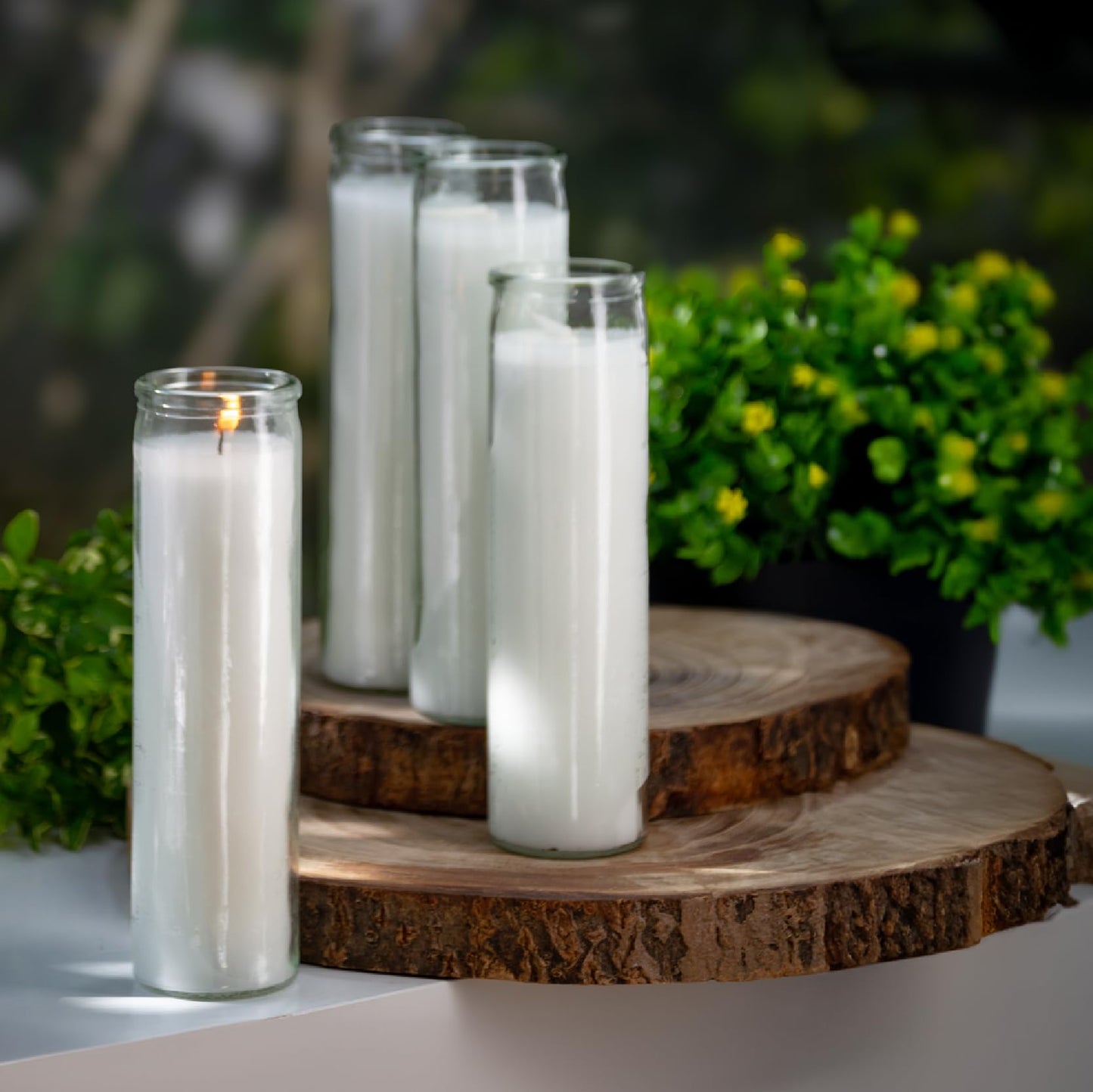 Estrella Blanca 2x8 Inch Unscented Devotional Prayer Candle – Single Long-Burning White Religious Candle in Clear Glass Jar for Altars, Memorials, Baptism & Spiritual Reflection