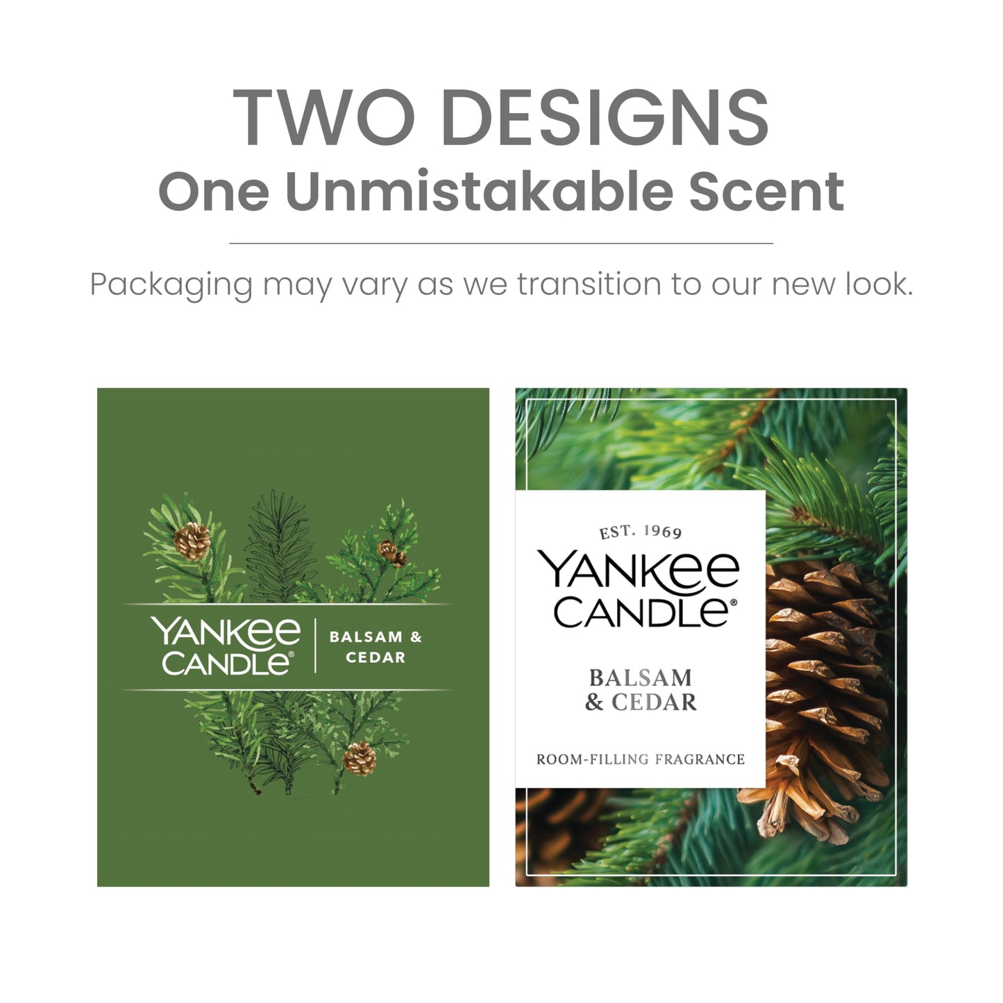 Yankee Candle Small Tumbler Scented Candle, Balsam & Cedar, 4.3 oz, Premium Plant Wax Blend, Up to 40 Hour Burn Time
