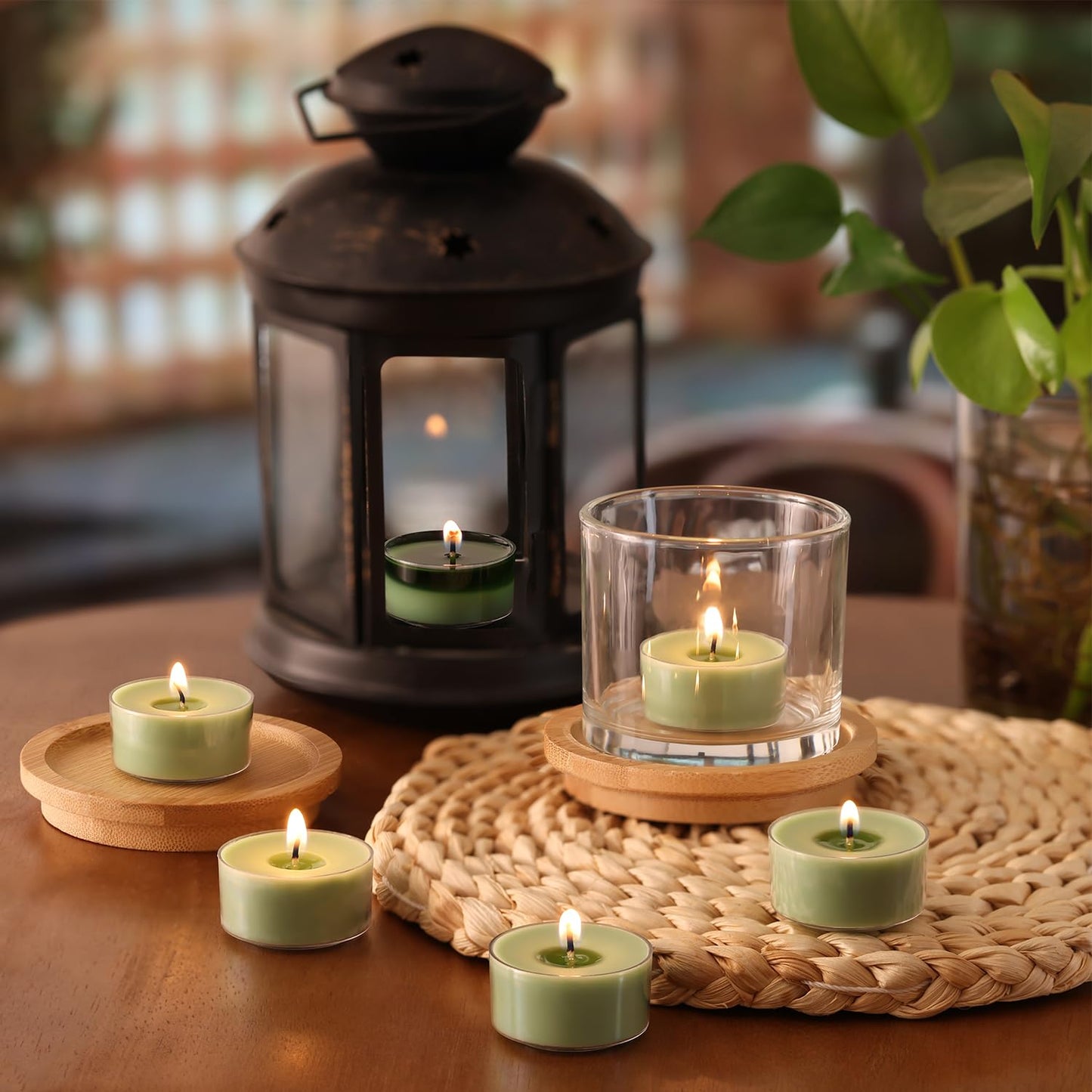 Eucalyptus Drift Scented Tea Lights Candles – Grayish Green – 6 Hour Burn – 100% Palm Wax – Scented Tealight Candles for Winter Holidays, Christmas Calm, Spa Vibes – 16 Pack Scent Votive Candle