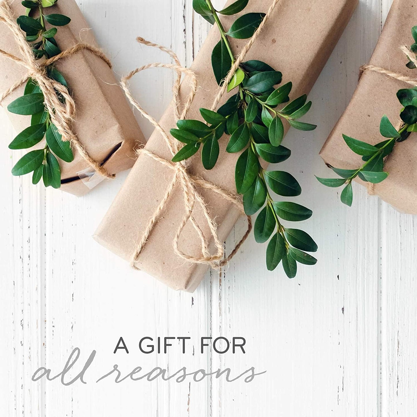 Thymes Frasier Fir Candle - Gilded Collection - Wood Grain Ceramic Design with 24-Karate Gold Rim - Mountain Fresh Fragrance - Elegant Winter Candle Scents - Gifts for Women & Men (Medium, 11 oz)
