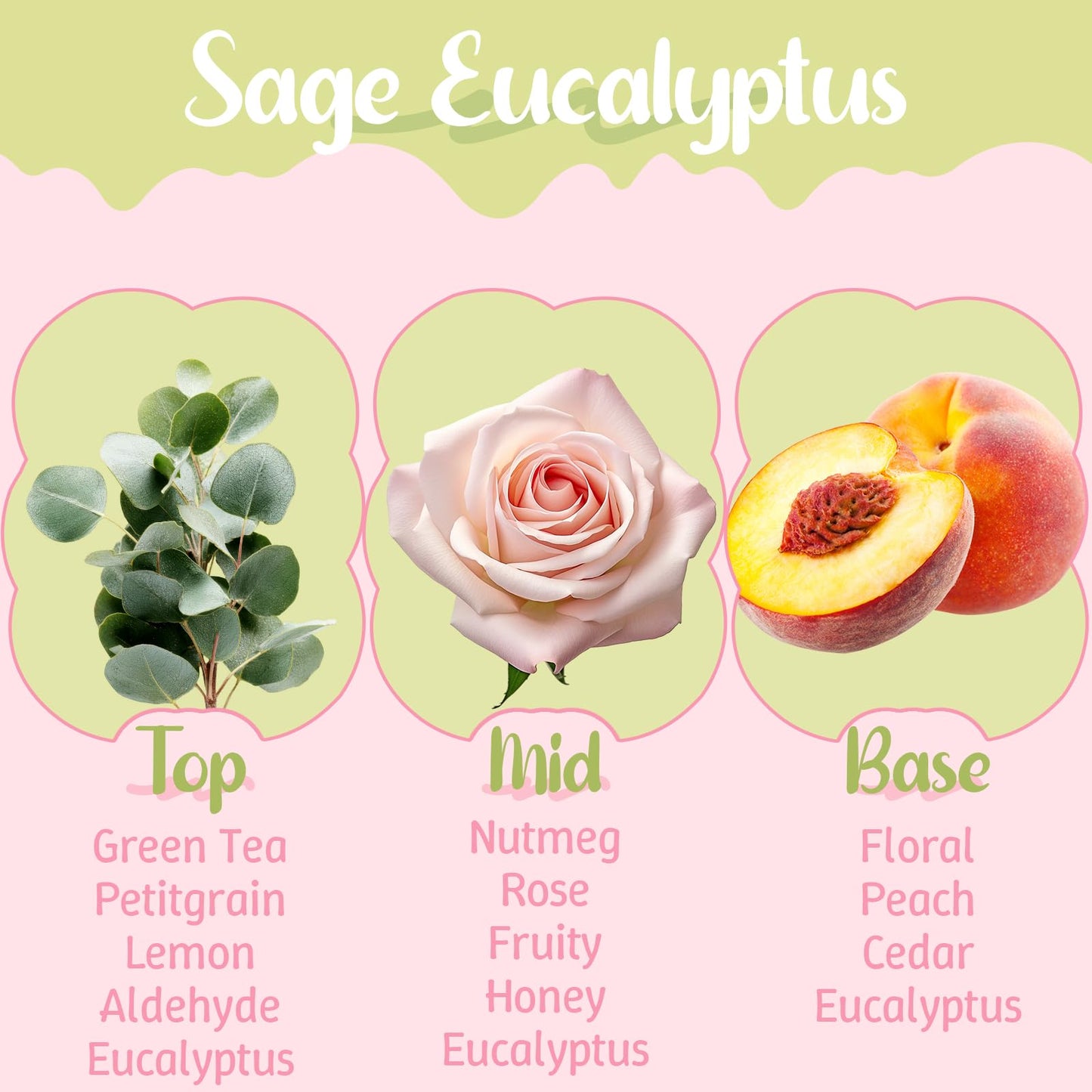 M&SENSE Sage Eucalyptus Scented Candles, 5.64 oz, Up to 30-Hour Burn, Aromatherapy Candle Gifts for Women for Bathroom Kitchen Office