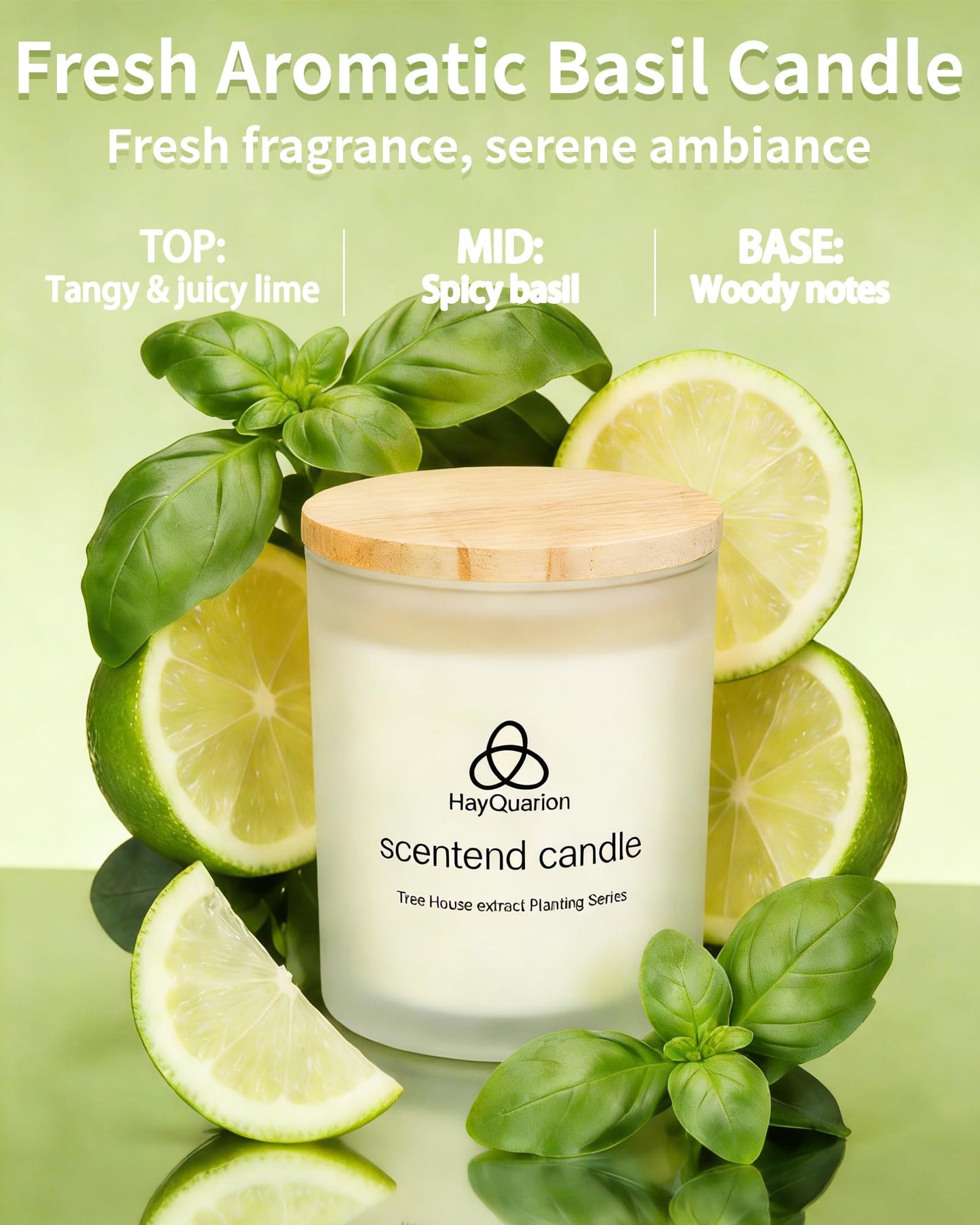 HayQuarion Lime & Basil Scented Non Toxic Candles for Home, Natural Soy Wax Aromatherapy Candle Gifts for Women Men, Meditation, Aromatherapy, Fresh Home Decor, Odor Eliminating Citrus for Kitchen