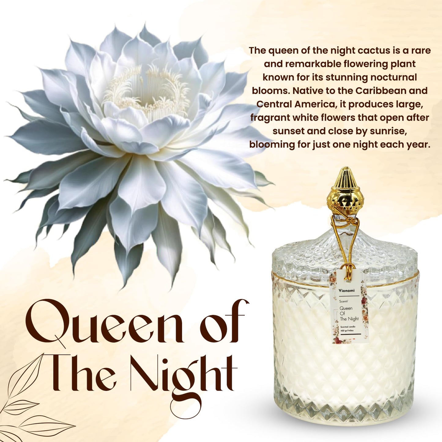 VIONAMI Luxury Scented Candle Gift – Queen of The Night Rare Flower Fragrance in Elegant Glass Jar, Decorative Soy Candles Gifts for Women, Long-Lasting 80 Hr, 14.8 oz, Luxury Candles for Women