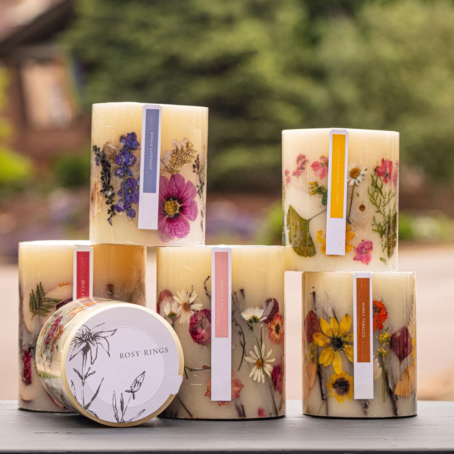 Rosy Rings Small Round Botanical Candle - Spicy Apple 5.5" Burn Time 120 Hours Notes of Cardamom, Cinnamon, Clove, Long Lasting Candles, Candle Gifts