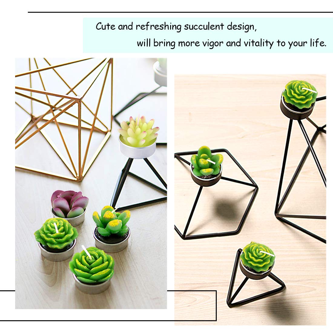 Swpeet 12Pcs Decorative Succulent Cactus Tealight Candles Kit, Cute Smokeless Succulent Plants Perfect for Candles Festival Wedding Props and House-Warming Party (N0.5-Candle)