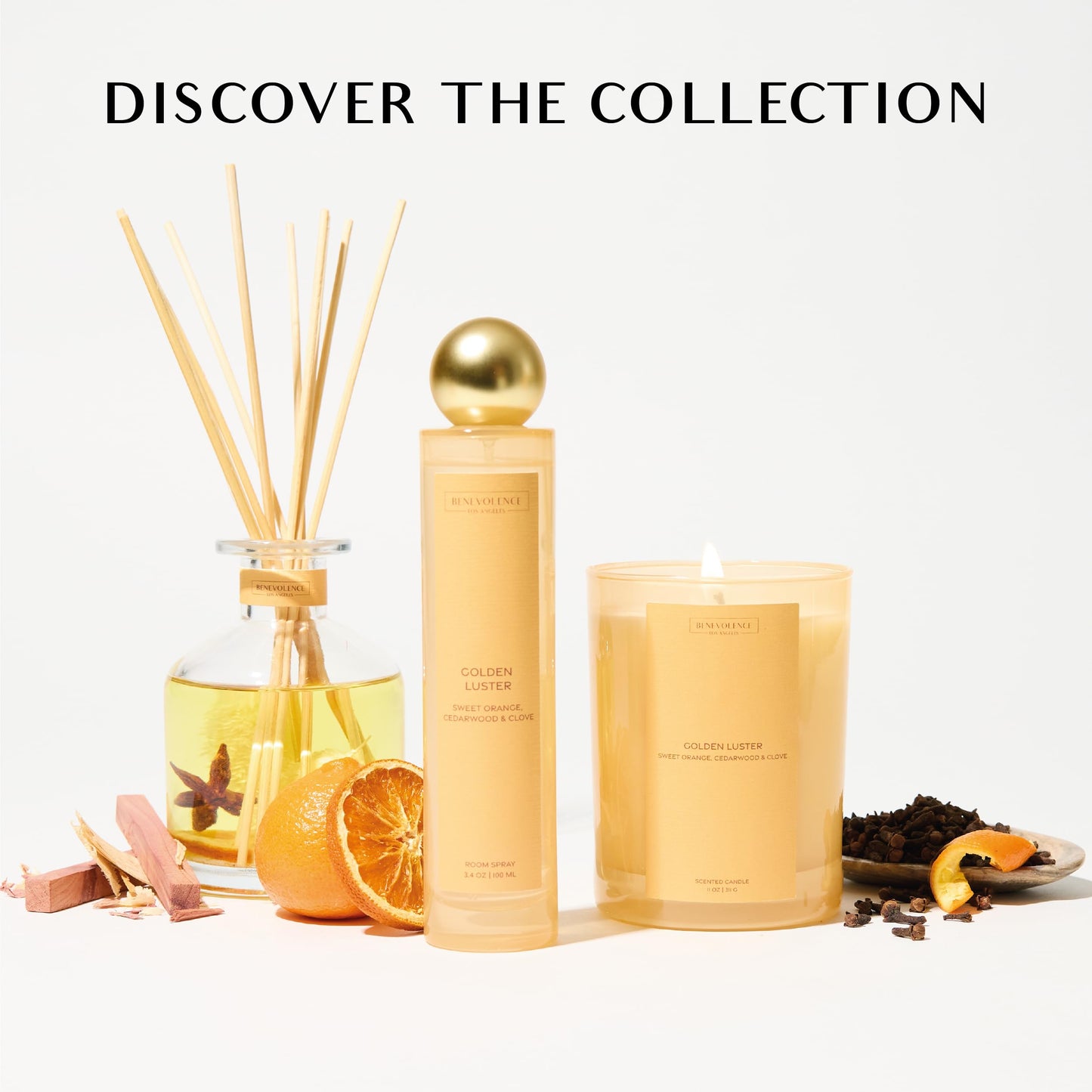 Orange, Cedarwood & Clove Scented Candle | 11oz, 60 Hour Burn | Natural Soy Wax, Cotton Wick | Soy Scented Candles for Home | Sun-Kissed Collection - Golden Luster