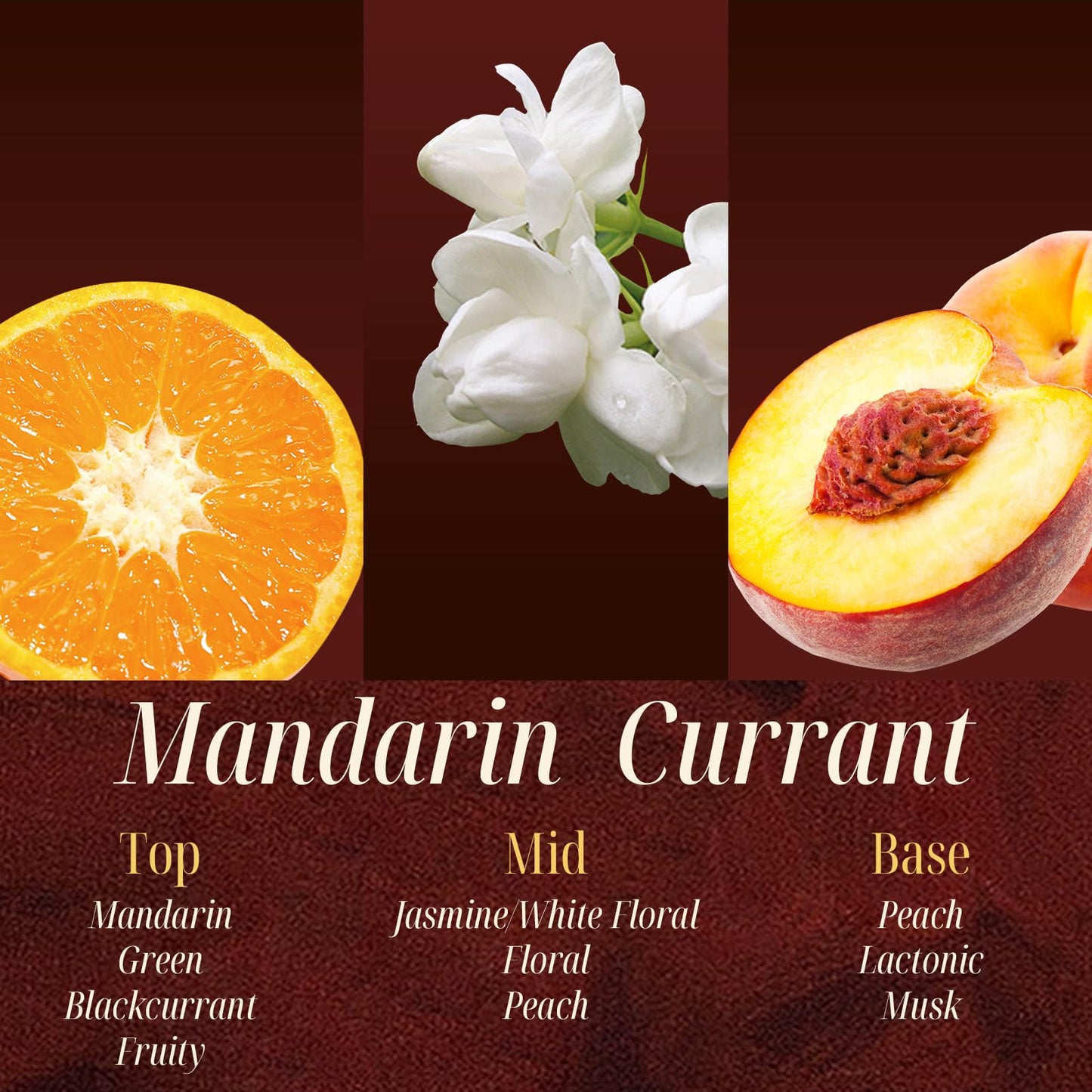 M&SENSE Mandarin & Currant Scented Candle | 90-Hour Burn,16.6 oz | Long-Lasting for Mood Healing and Gifting | Natural Non-Toxic Soy Wax | for Bathroom, Kitchen, Office