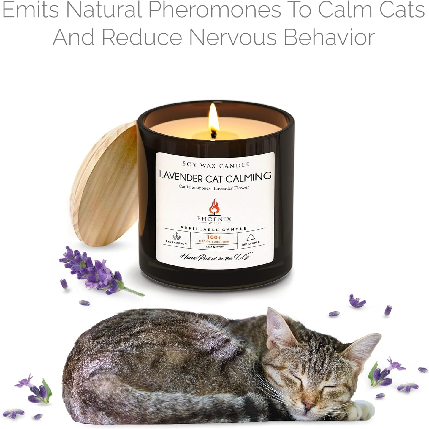 Phoenix Wick Candle Making Kit - New Soy Wax & Wick for Your Luxury 14oz Candle Jar - Adds 100 Hours Burn Time (Lavender Cat Calming)