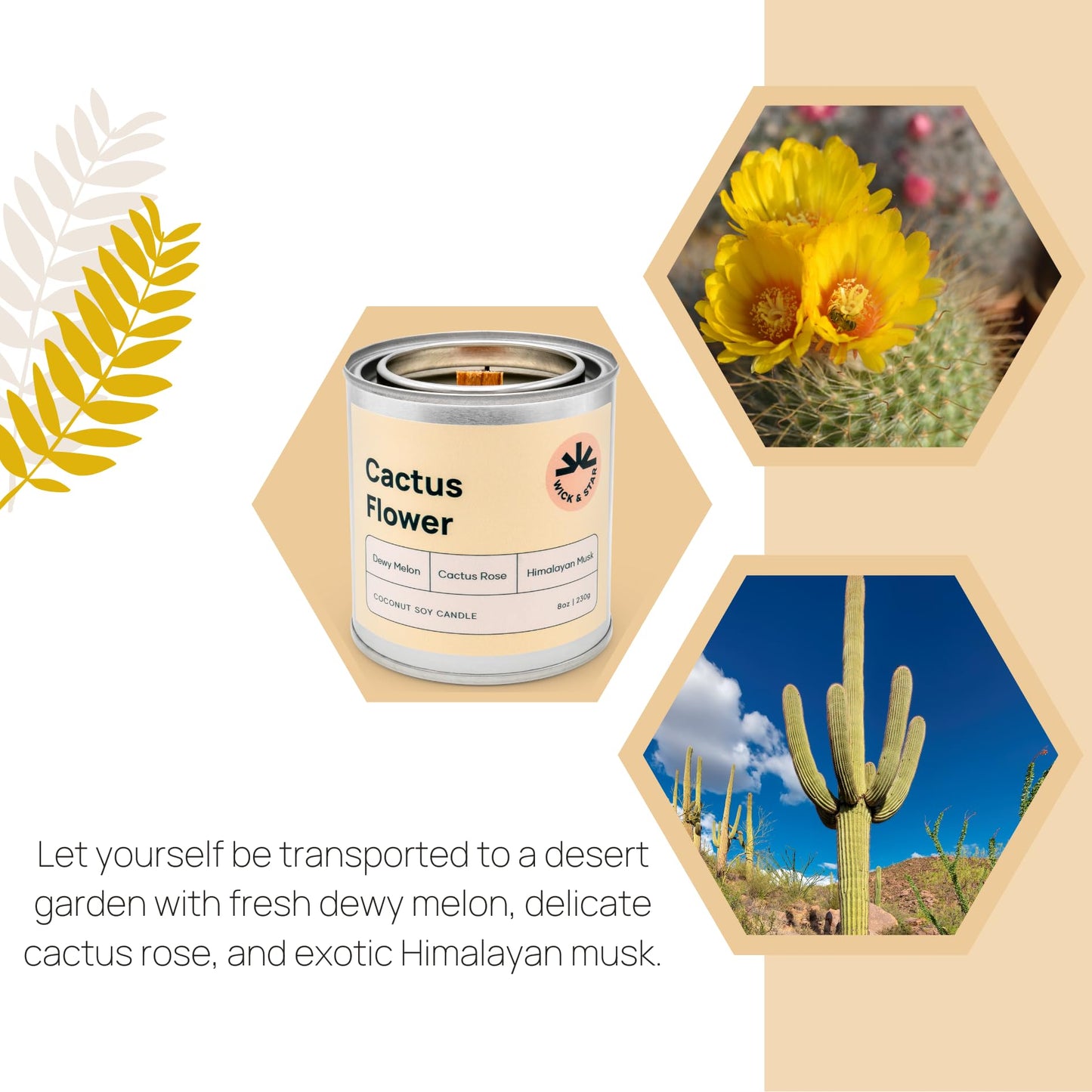 Wick & Star Vegan, Wood Wick, Natural Coconut Soy Wax Aromatherapy Candle, Clean Burning (Cactus Flower)