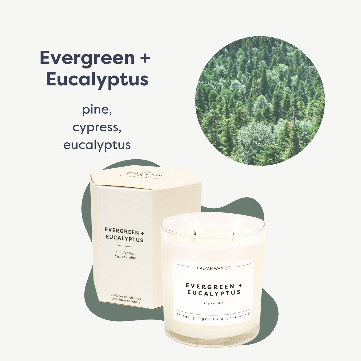 Calyan Wax Co. Evergreen & Eucalyptus 2 Wick Scented Candle - 37 Hour Burn - Luxury Clean Soy Wax Candles - Long Lasting Large Glass Jar Candle for Home - 8.8oz
