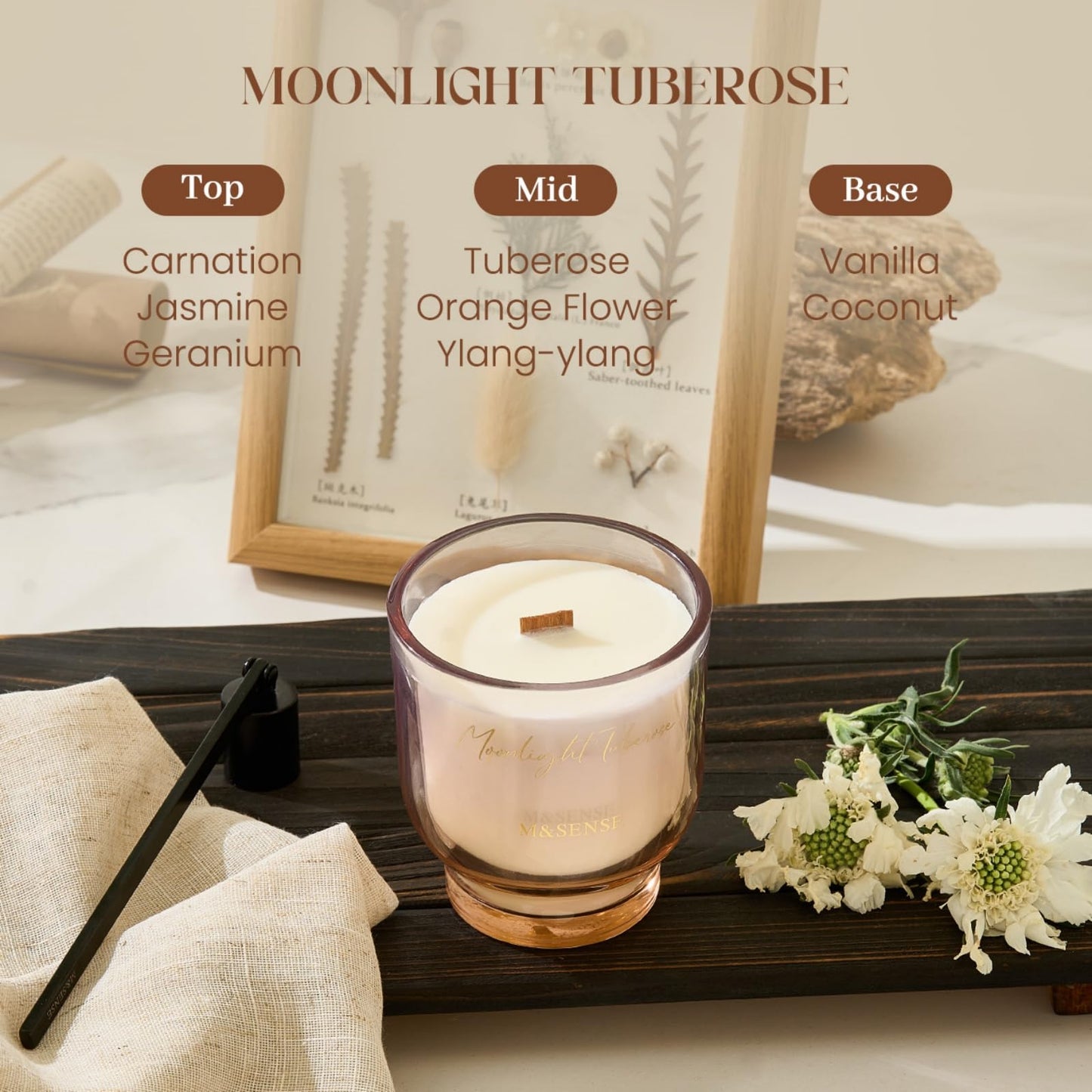M&SENSE 9.9oz Natural Soy Wax Jar Candle with Wooden Wick | Moonlight Tuberose Scent | 55-Hour Burn & Long-Lasting Burn | Housewarming Gift for Men and Women