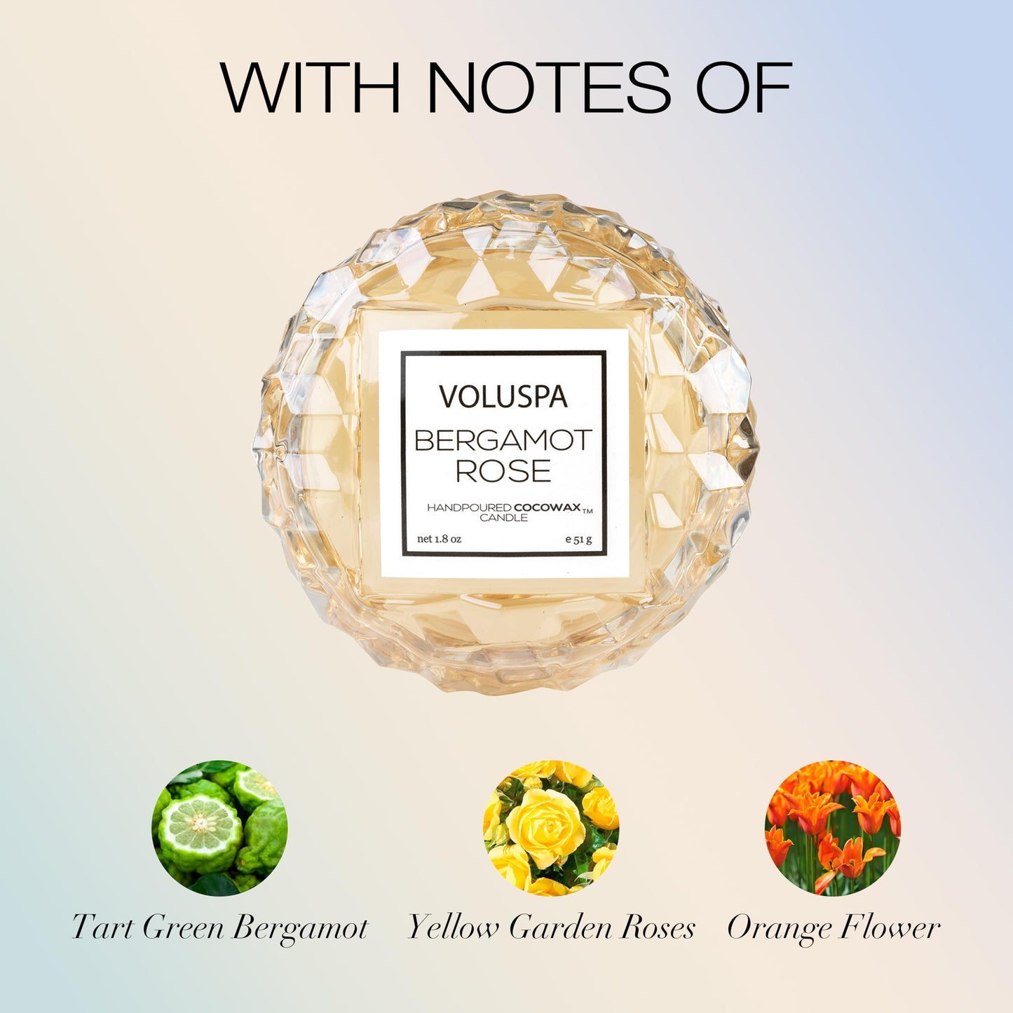 Voluspa Bergamot Rose, Macaron Candle, 1.8 oz, 15 Hour Burn Time, Coconut Wax for Clean Burning, Handcrafted in The USA