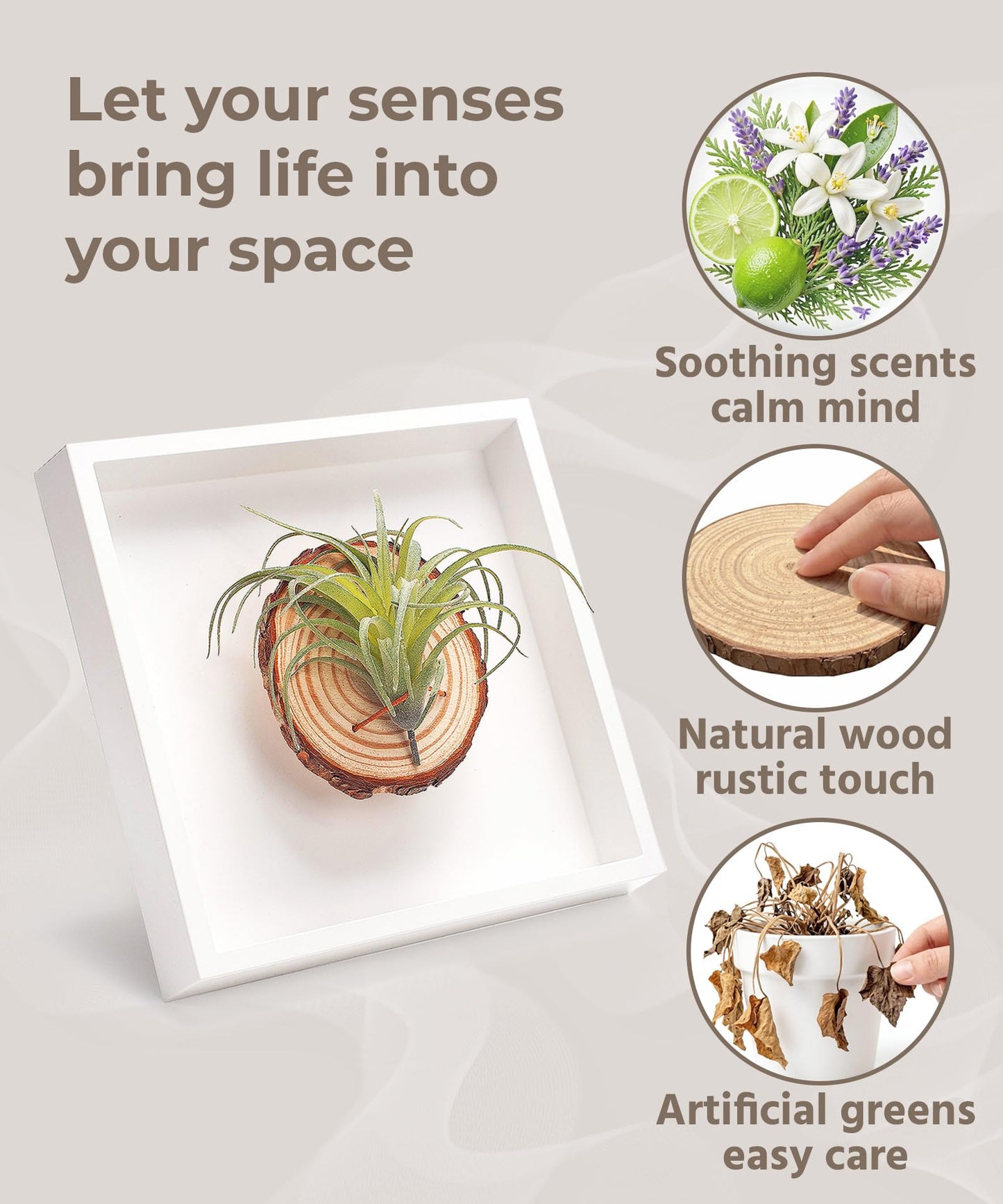 arscent Faux Air Plant Bathroom Wall Decor with Scent Stone Diffuser, Decorative Air Freshener, 3D Botanical Wall Art for Bedroom, Entryway & Small Spaces, Green Tillandsia Ionantha