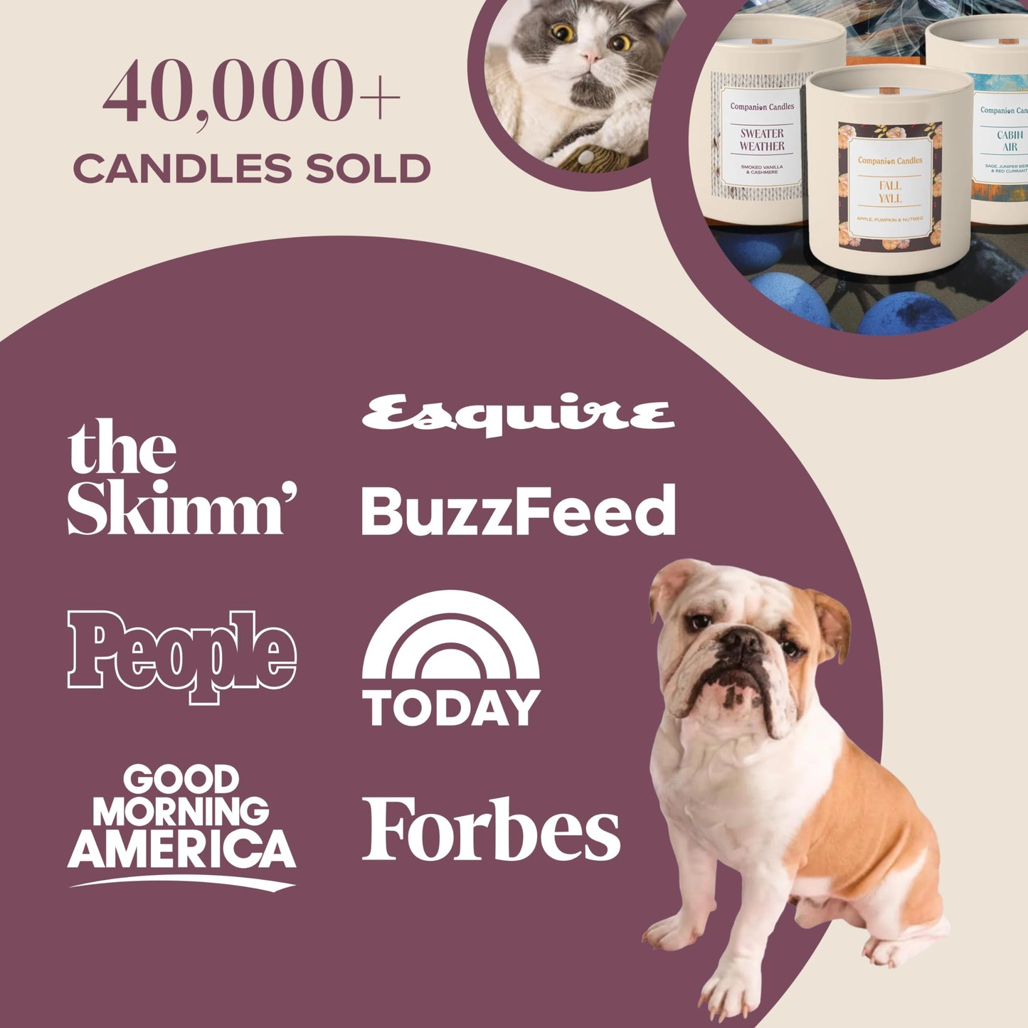 Companion Candles Sweater Weather Pet-Friendly Scented Candle – Smoked Vanilla & Cashmere Fragrance - Coconut Soy Wax Candle with Wooden Wick, Approx. 50-Hour Burn Time, Made in USA, 11.8 oz