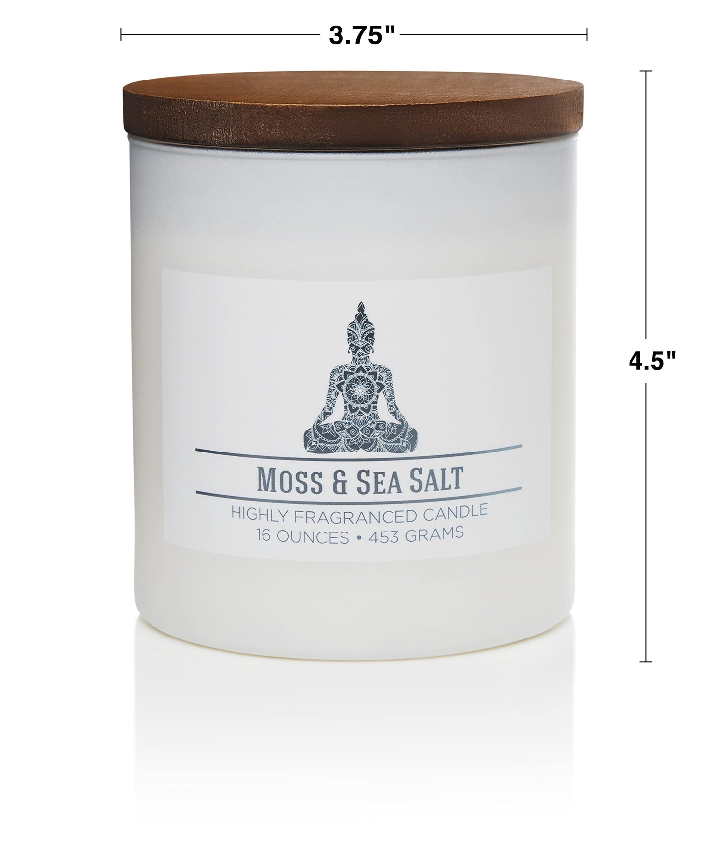 Carolina Moss & Sea Salt Scented Candle, 16 oz Wellness Relaxing Aromatherapy Candle, 2 Wick White Jar Soy Blend Wax, Candles for Home, 60H Burn - Made in The USA
