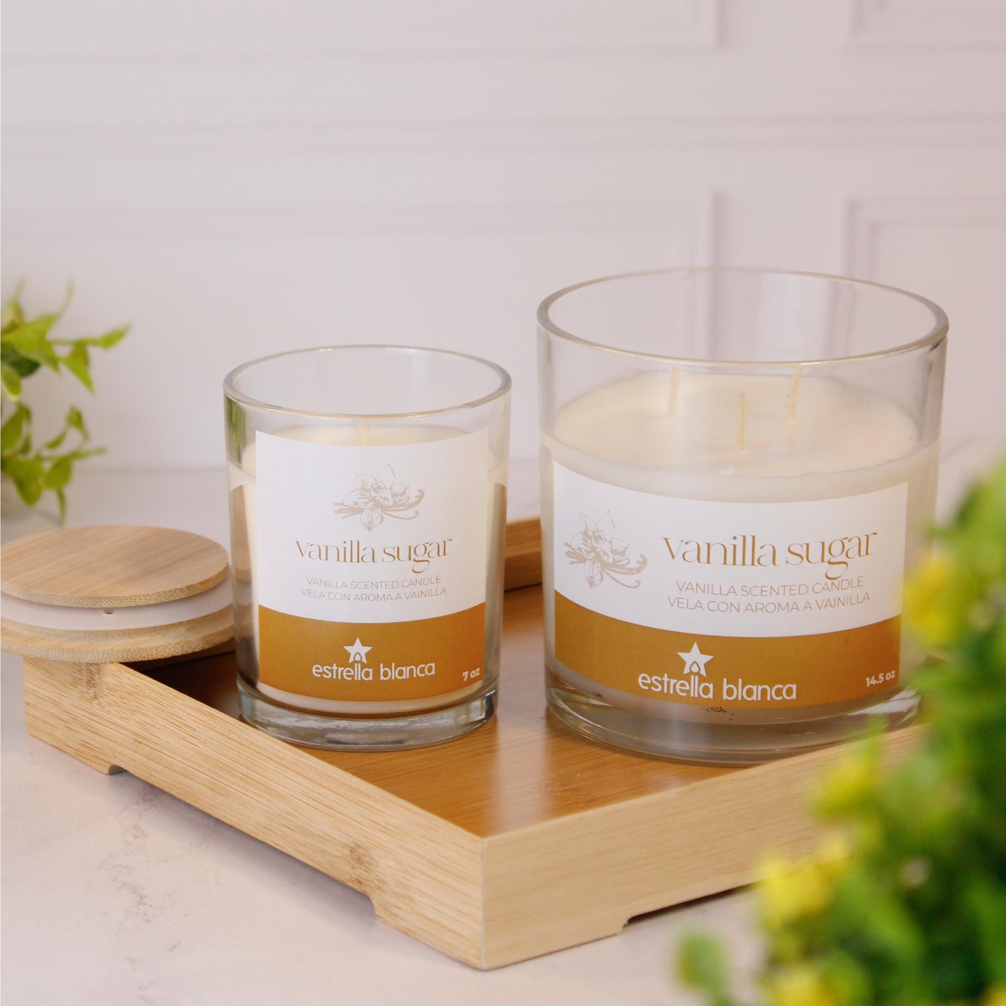 Estrella Blanca 7oz Vanilla Sugar Fall Scented Candles for Home, Aromatheraphy Candles Gifts Set for Women & Men.