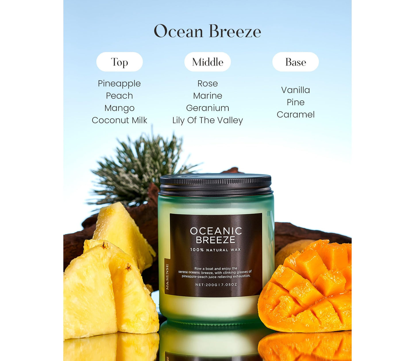 M&SENSE Oceanic Breeze Home Scented Candles, 7.05oz Natural Soy Wax, 50-Hour Slow Burning, Non Toxic Organic Candle, Aromatherapy Fragrance for Stress Relief, Housewarming Gifts for Women/Men
