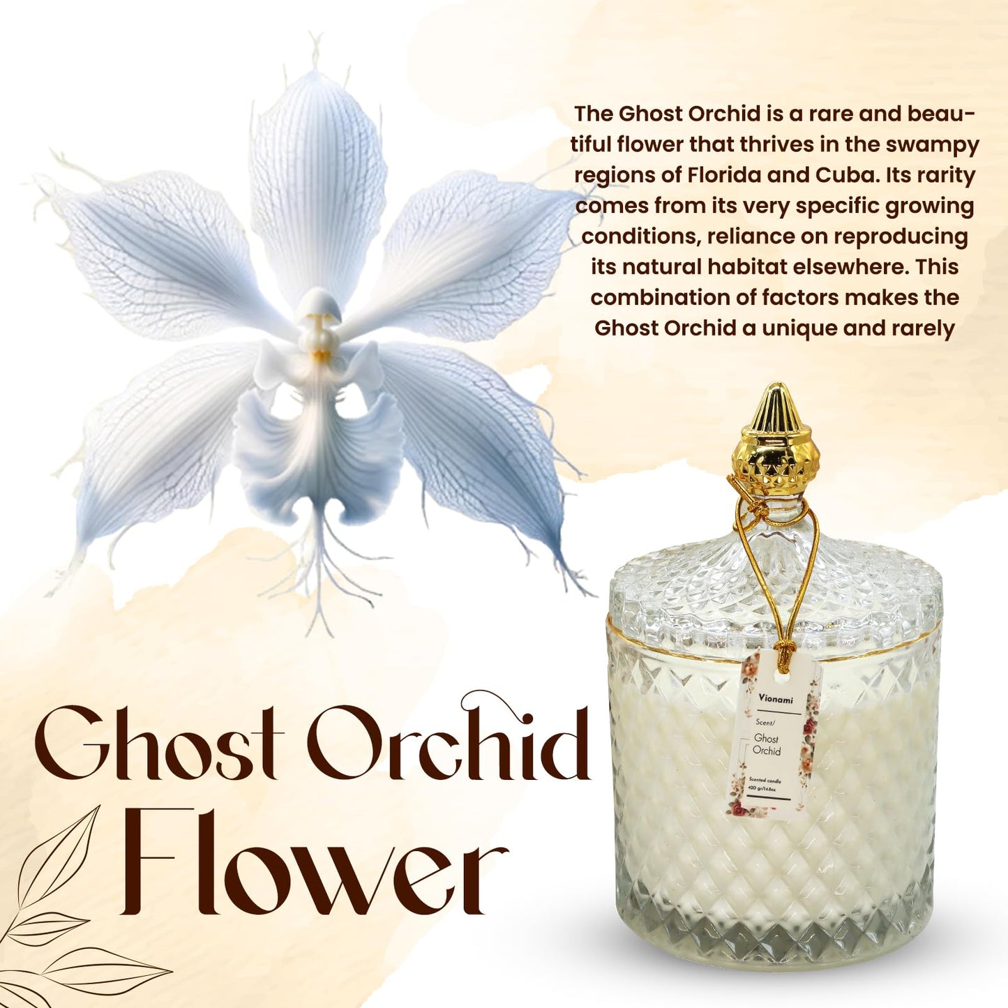 VIONAMI Luxury Scented Candle Gift, Ghost Orchid Rare Flower Fragrance Soy Candle in Glass Jar, 14.8oz, 80Hr Burn, Scented Candles for Women, Birthday Gift for Her, Luxury Candles for Women