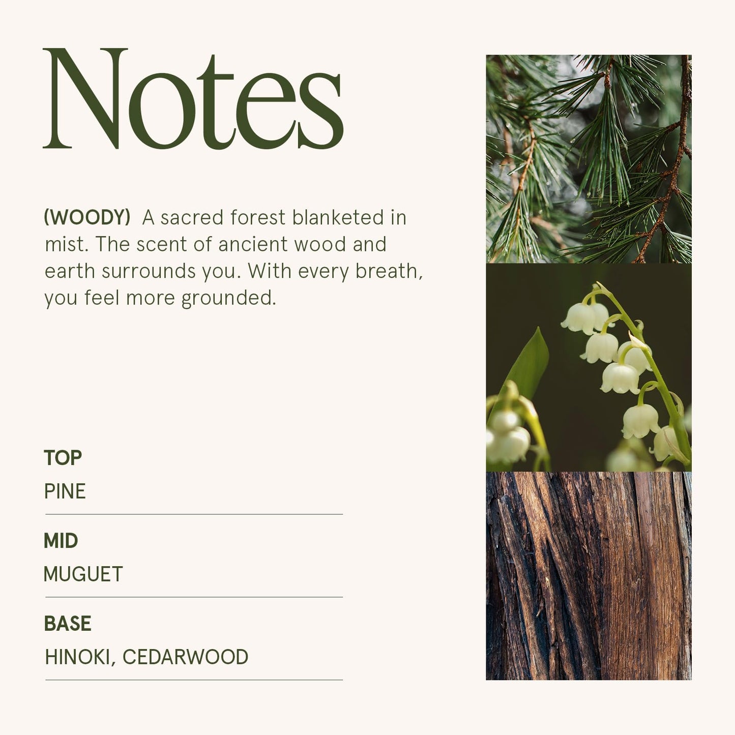 LA JOLIE MUSE Kōya Hinoki & Cypress Candle | Pine, Hinoki & Cedarwood | 19 oz Wooden Wick Soy Candle | 90-Hour Burn | Daily Relaxation & Cozy Ambiance