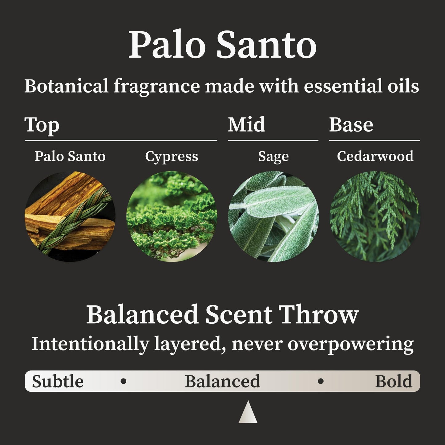 Hemlock Park Palo Santo Apothecary Hand-Poured Scented Candle | Crackling Wood Wick, Botanical Fragrance & Coconut Wax | Up to 60 Hour Burn Time | 8 oz