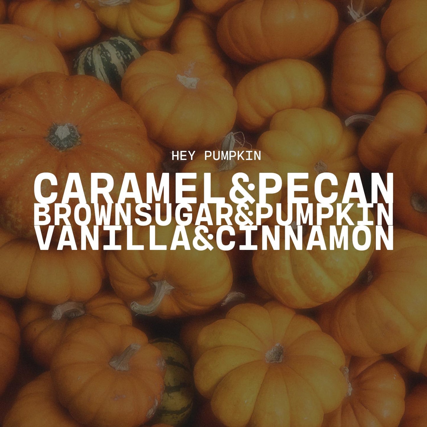 Milkhouse Candle Company Hey Pumpkin! Soy Candle - Salted Caramel | Cinnamon & Clove | Vanilla & Pumpkin Scented - 5 oz Cream Jar with Lid, 35+ Hour Burn Time, Made in the USA