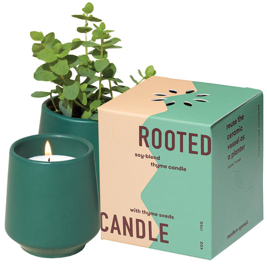 Modern Sprout - 2 in 1 Tonka Bean Scented & Soy Candle with Seeds that Grows into Thyme Plant - 6 oz w/ 42 hr Burn time in Matte Glaze Ceramic Vessel Ideal for Indoor Herb Garden