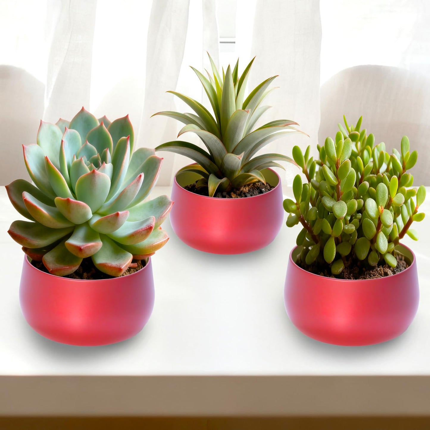 HOMAMAMOON 24 Pcs 8oz Candle Tins with Lids Bulk, Drak Red Metal Candle Jars for Making Candles, Shatterproof Empty Candle Containers & Vessels for DIY Travel & Small Business