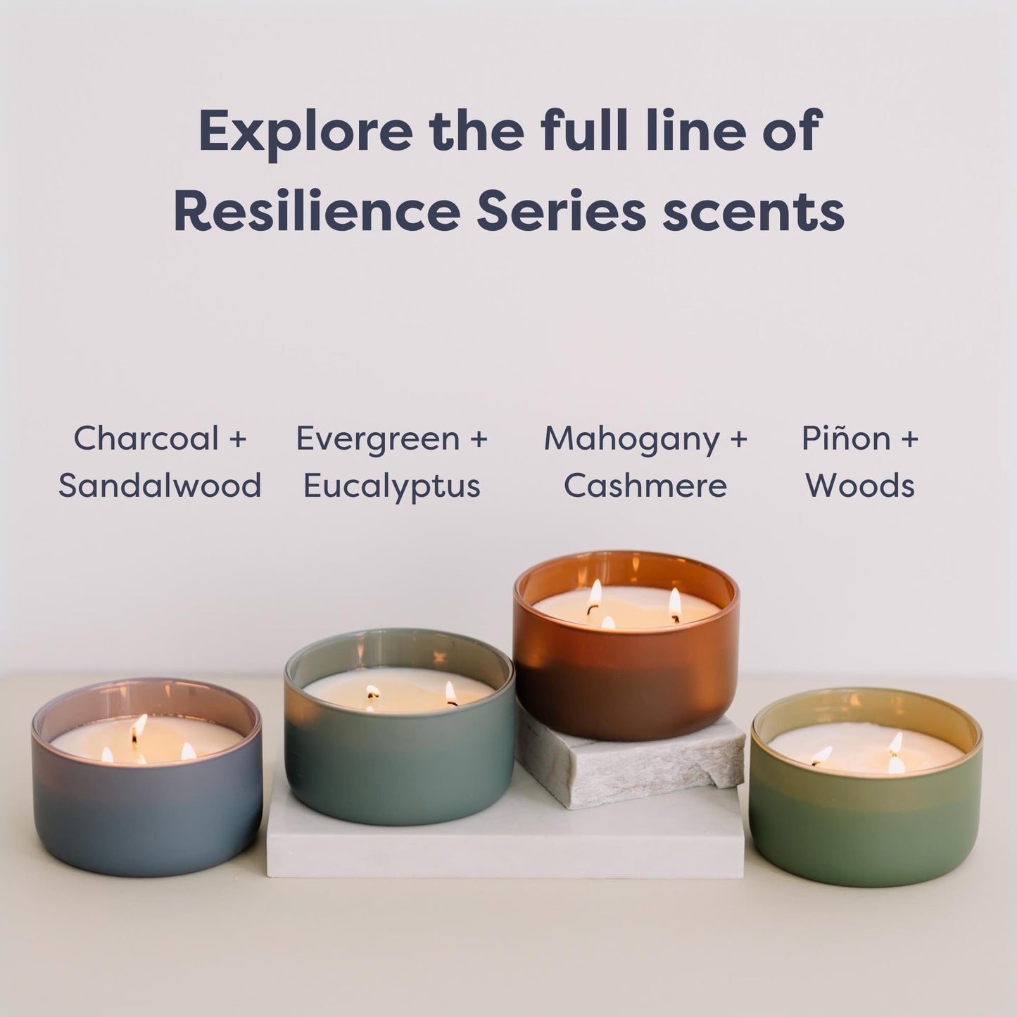 Calyan Wax Co. Evergreen & Eucalyptus 3 Wick Scented Candle - 30 Hour Burn - Luxury 3 Wick Soy Candles - Clean Soy Wax Candles - Long Lasting Large Glass Jar Candle for Home - 8oz
