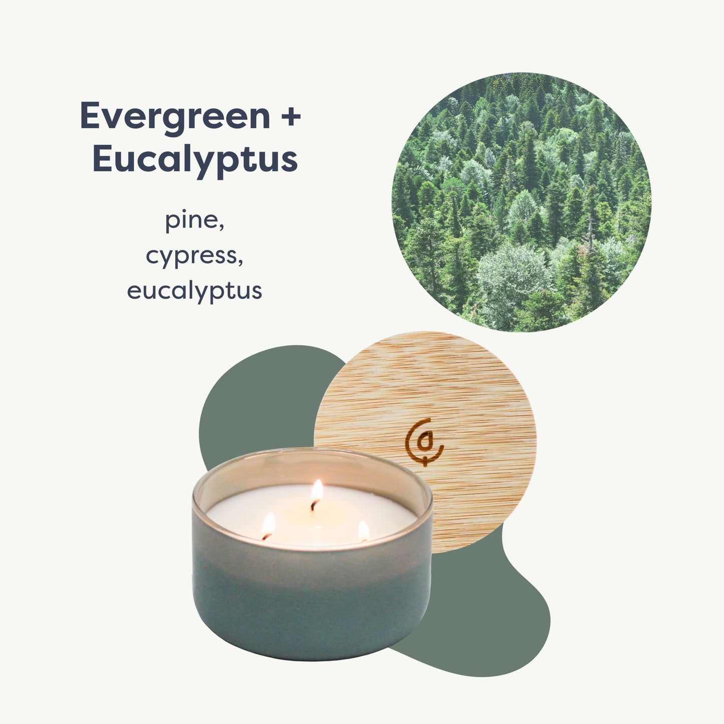 Calyan Wax Co. Evergreen & Eucalyptus 3 Wick Scented Candle - 30 Hour Burn - Luxury 3 Wick Soy Candles - Clean Soy Wax Candles - Long Lasting Large Glass Jar Candle for Home - 8oz
