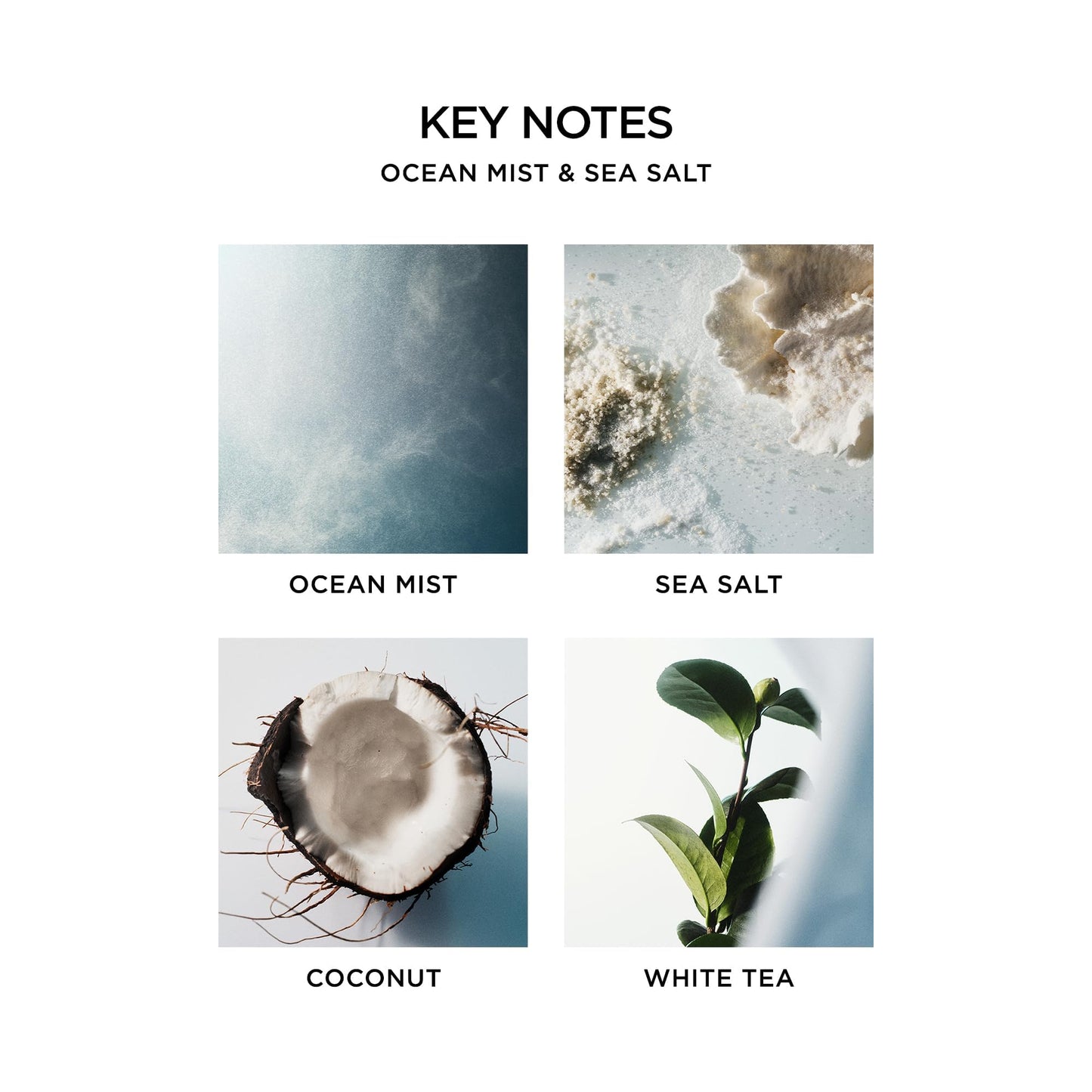 NEST New York Scented 3-Wick Candle, Ocean Mist & Sea Salt - 21.2 oz - Up to 100-Hour Burn Time - Reusable Glass Vessel