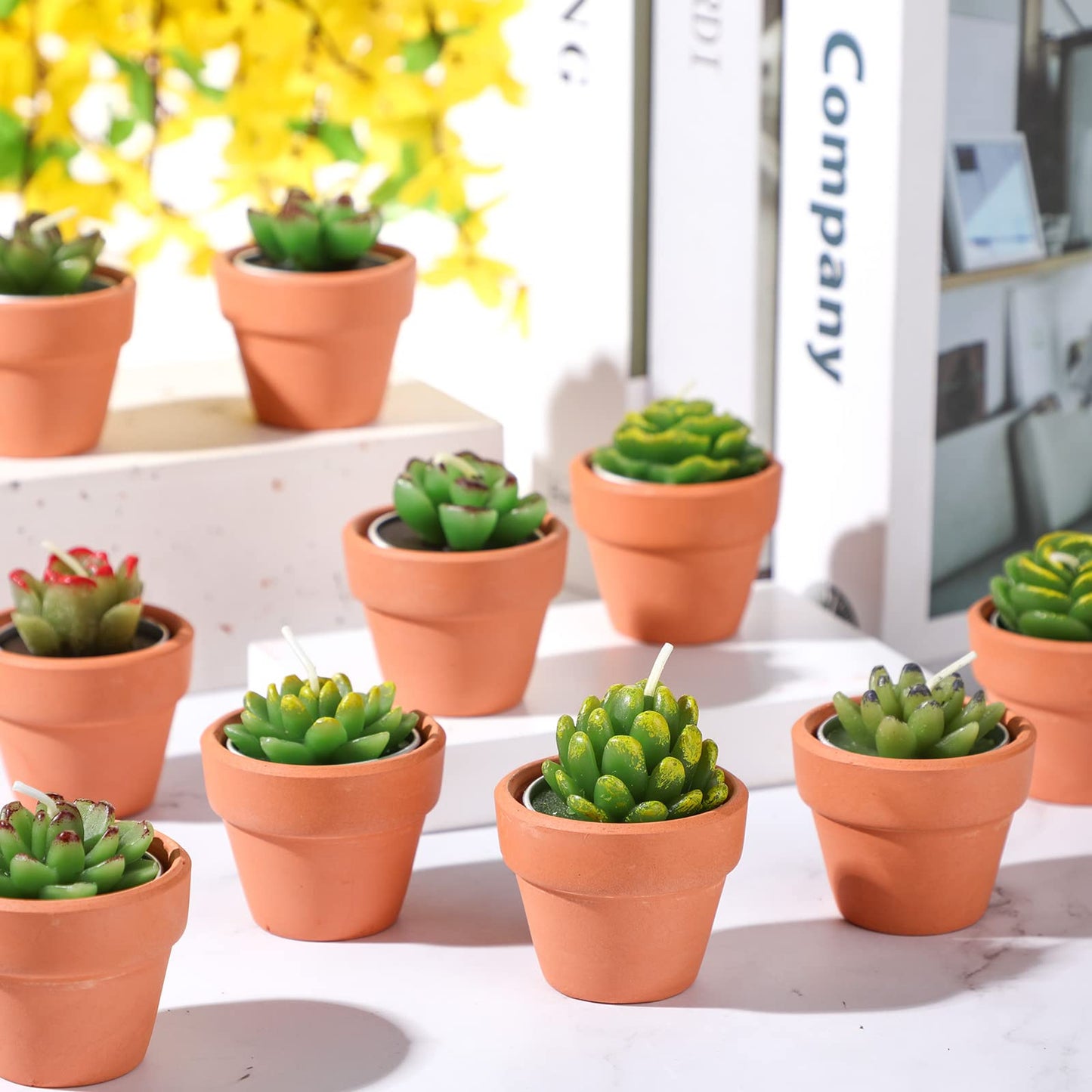Treela 18 Pcs Succulent Cactus Tealight Candles Handmade Tea Lights Baby Shower Plant Candle Gift with Mini Terracotta Clay Candle Holders for Home Birthday Christmas Wedding Party(Cute)