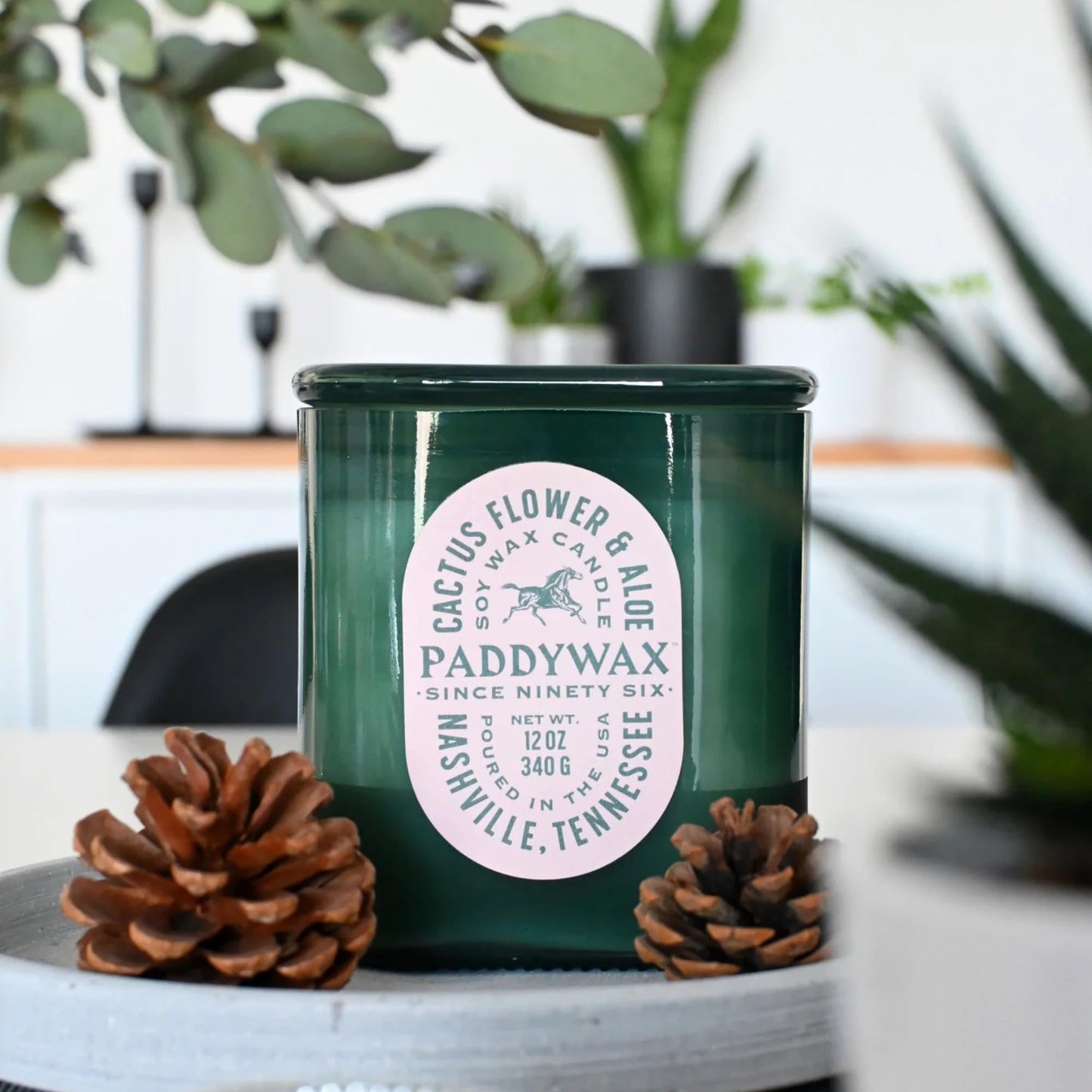 Paddywax Vista Scented Candle with Lid in Reusable Tonal Glass Jar, Clean-Burn 2-Wick Soy Candle with Approx. 84 Hour Burn Time, Decorative Gift Candles for Home, Cactus Flower & Aloe, 12 oz