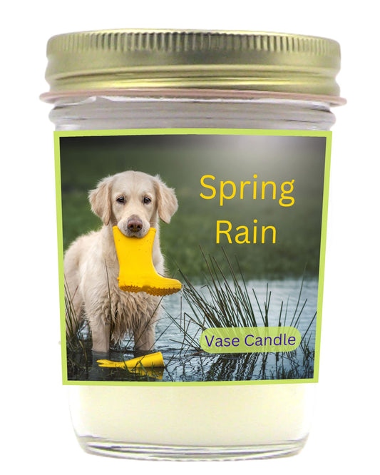 Spring Rain Vase Candle - Spring Rain - Blend of Lemon, Lily, Jasmine, and Ozone. (Jar)