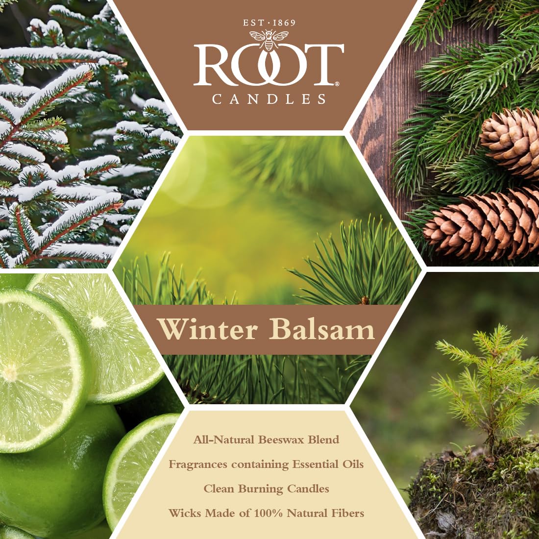 Root Candles Holiday Scented Candles Honeycomb Veriglass Premium Handcrafted Beeswax Blend Candle, Small, Winter Balsam