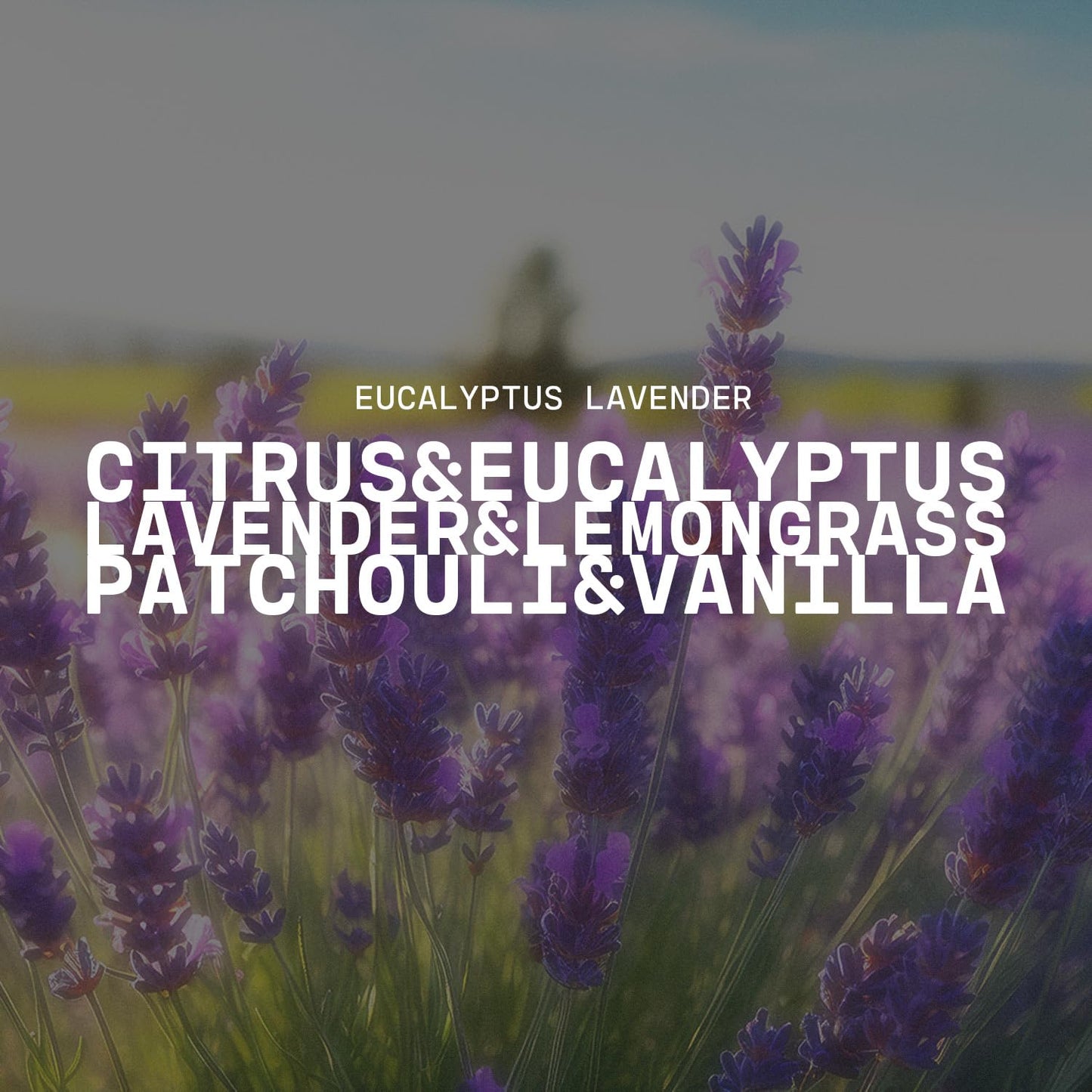 Milkhouse Candle Company Eucalyptus Lavender Soy Candle - Herbs | Lavender | Eucalyptus Scented - 10 oz Signature Statement Candle with Lid, 20+ Hour Burn Time, Made in the USA