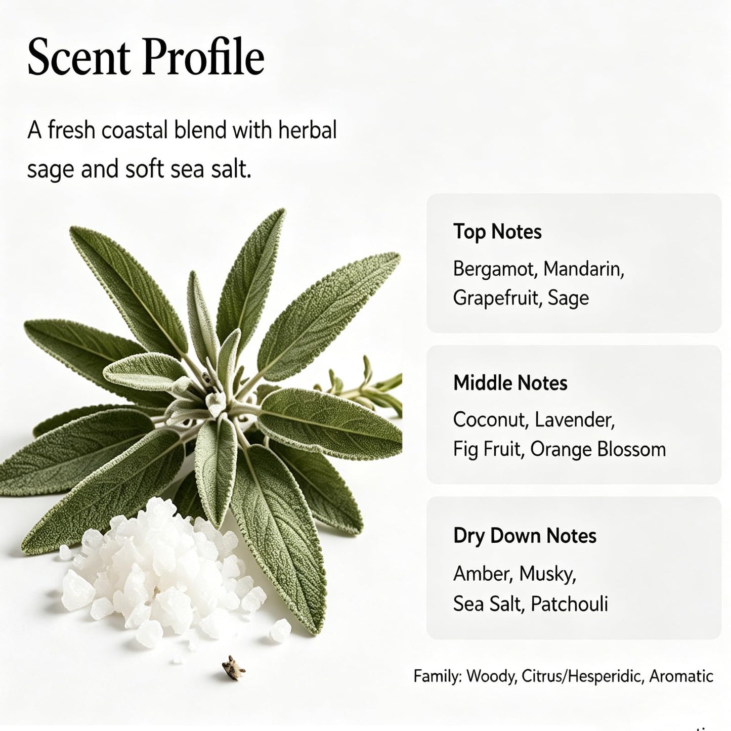 Sea Salt Sage Soy Candle, Driftwood Aromatherapy Candle for Home, Natural Soy Wax Sleep Candle with Citrus Woody Scent for Bedroom, Relaxation, Bath & Self Care Gift