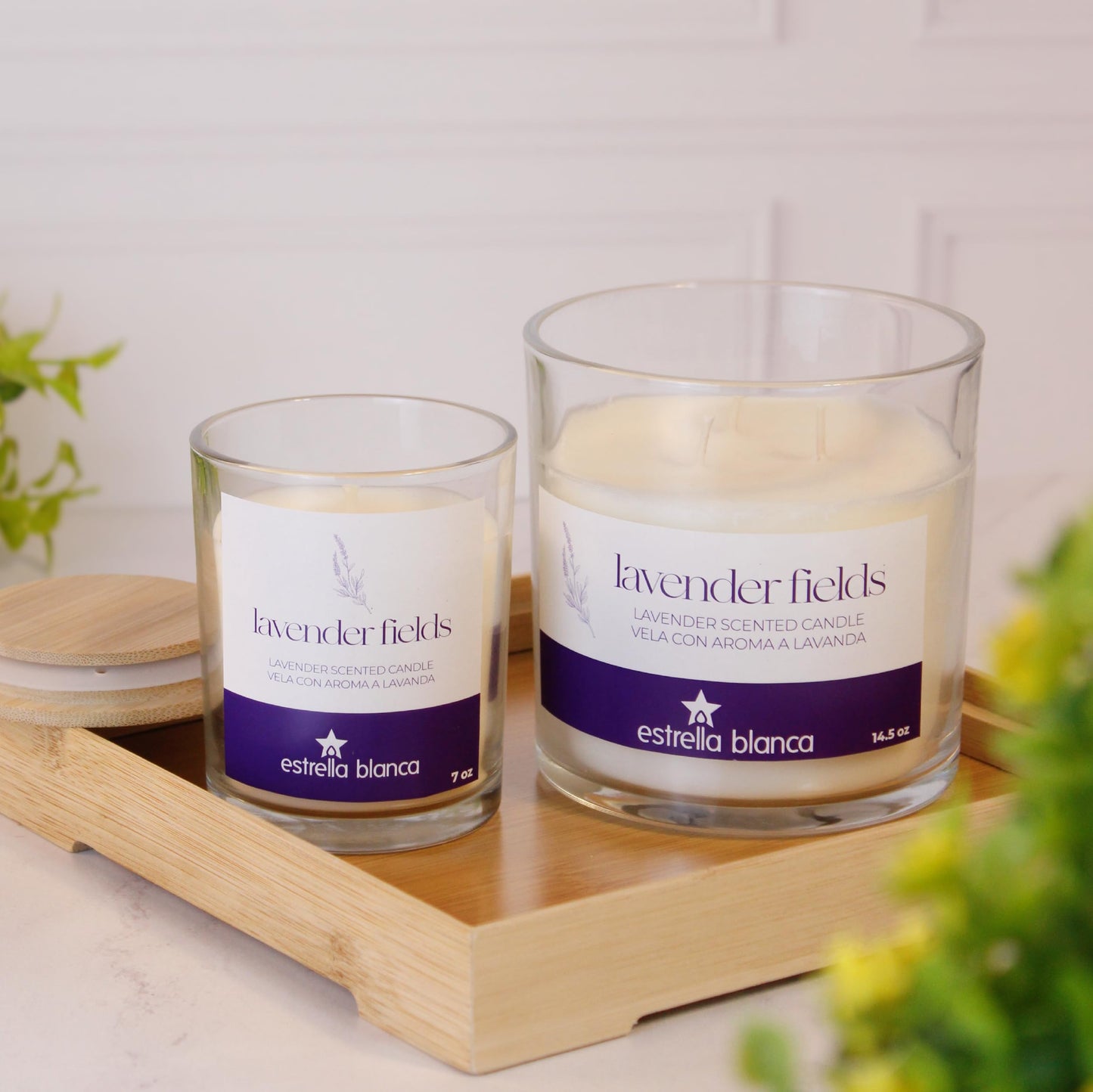 Estrella Blanca Lavender Fields Candle 7oz – Best Smelling Soy Candle, Non Toxic, Long Lasting, Gift for Women, Natural Soy Wax, Home Decor & Spa Ambience, Aromatherapy, Relaxing Home Scent