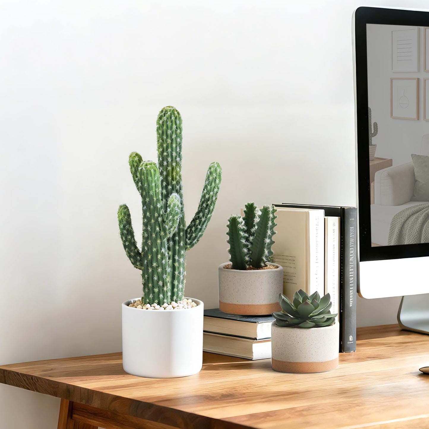 ASTRIDIA Artificial Cactus Plants - Potted Succulents in Ceramic, Faux Cacti and Succulent Decor for Home, Office Desk，Living Room-1pack