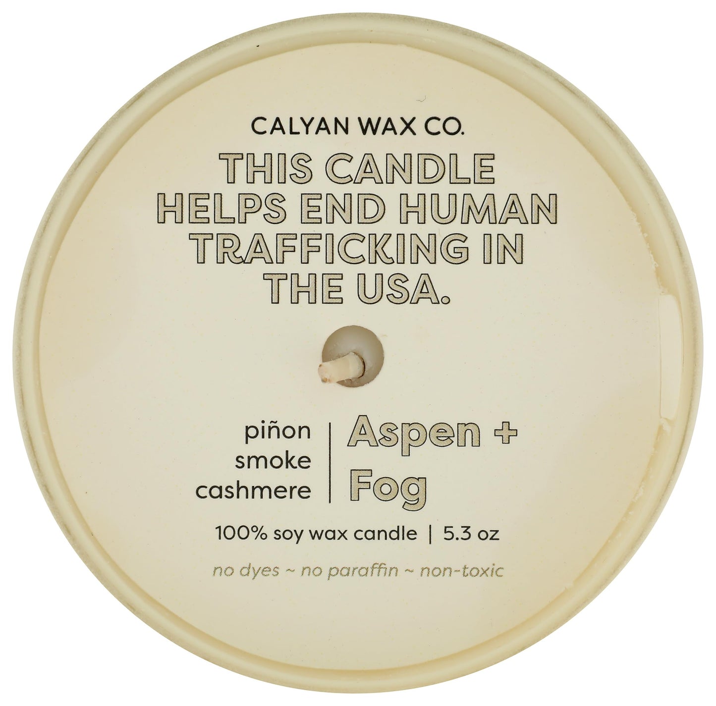 Calyan Wax Co. Dignity Series Aspen & Fog Scented Candle - 35 Hour Burn - Luxury Clean Soy Wax Candles - Long Lasting Ivory Glass Jar Candle for Home - 5.3oz