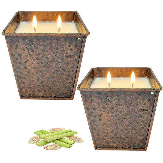 Citronella Candles Indoor Outdoor - 2 Pack - 25oz Large Citronella Scented Candle, Natural Soy Wax Candle for Summer 100-Hour Long Burning with Double Wick, Black Gold