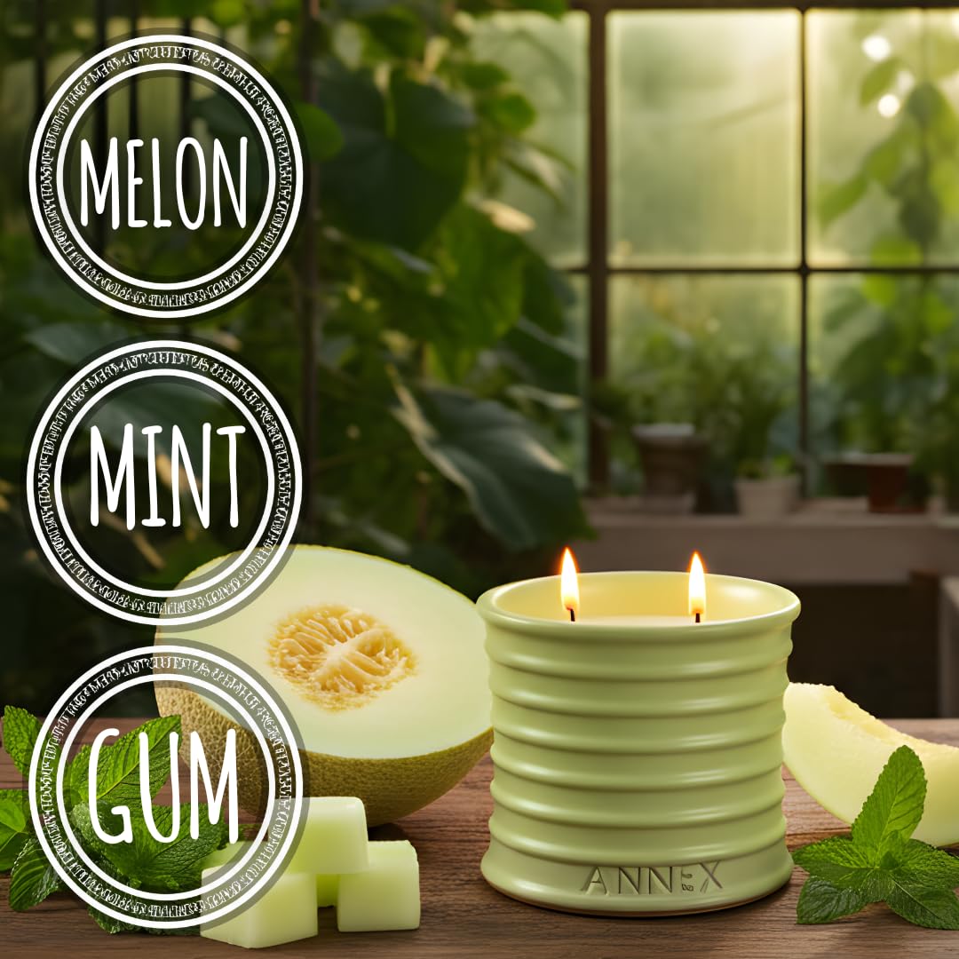 Annex Melon & Juniper Luxury Scented Candle - 8oz Handmade Green Ceramic Jar Candle - 50hr Clean Burn, 100% Non-Toxic Soy Wax, Aesthetic Home Decor Winter Gift for Men Women - Botanical Crisp Scent