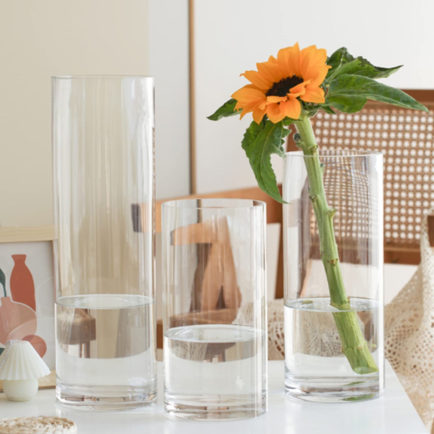 EylKoi Cylinder Vase Bulk Clear 48 Pack Cylinder Vases for Centerpieces Glass Vases for Flowers Hurricane Floating Candle Holder, Home Decor Wedding, 4''+6''+8''+10''(High)