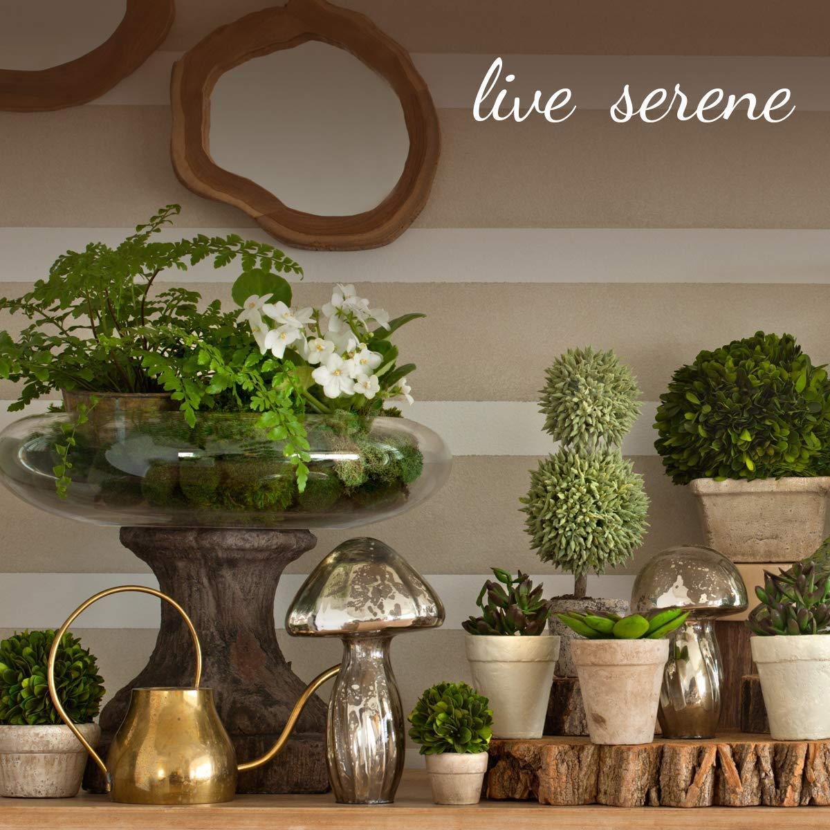 Serene Spaces Living Set of 120 Deep Tea Lights, Classic Tea Lights in Clear Holders, 1.5" Diameter and 1" Tall