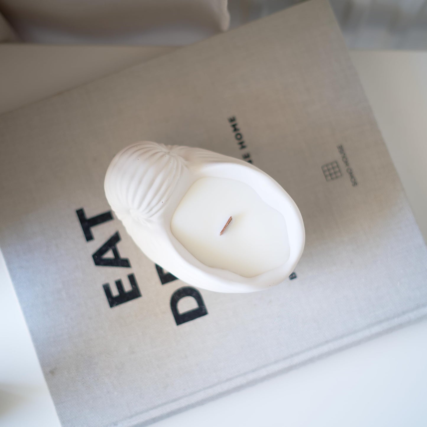 Gladsome® Concrete Sea Shell Jar Candle | Velvet Rose Aroma | 12+Hours Burn Time | Perfect for Home Decor & Gifting (J)