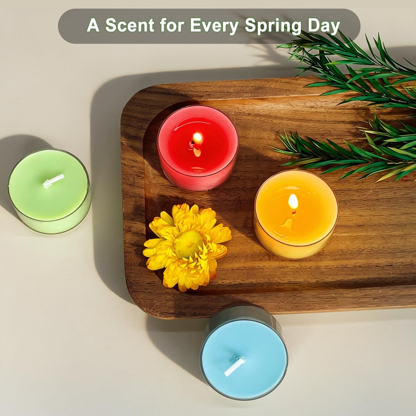 Spring & Summer Scented Tealight Candles 16 Pack, Natural Soy & Bee Wax Blend, Easter Candle Colors: Sky Blue,Pink,Green &Yellow, 3.5 Hour Burn Time, Strong Fragrance for Home for by Kissingfish